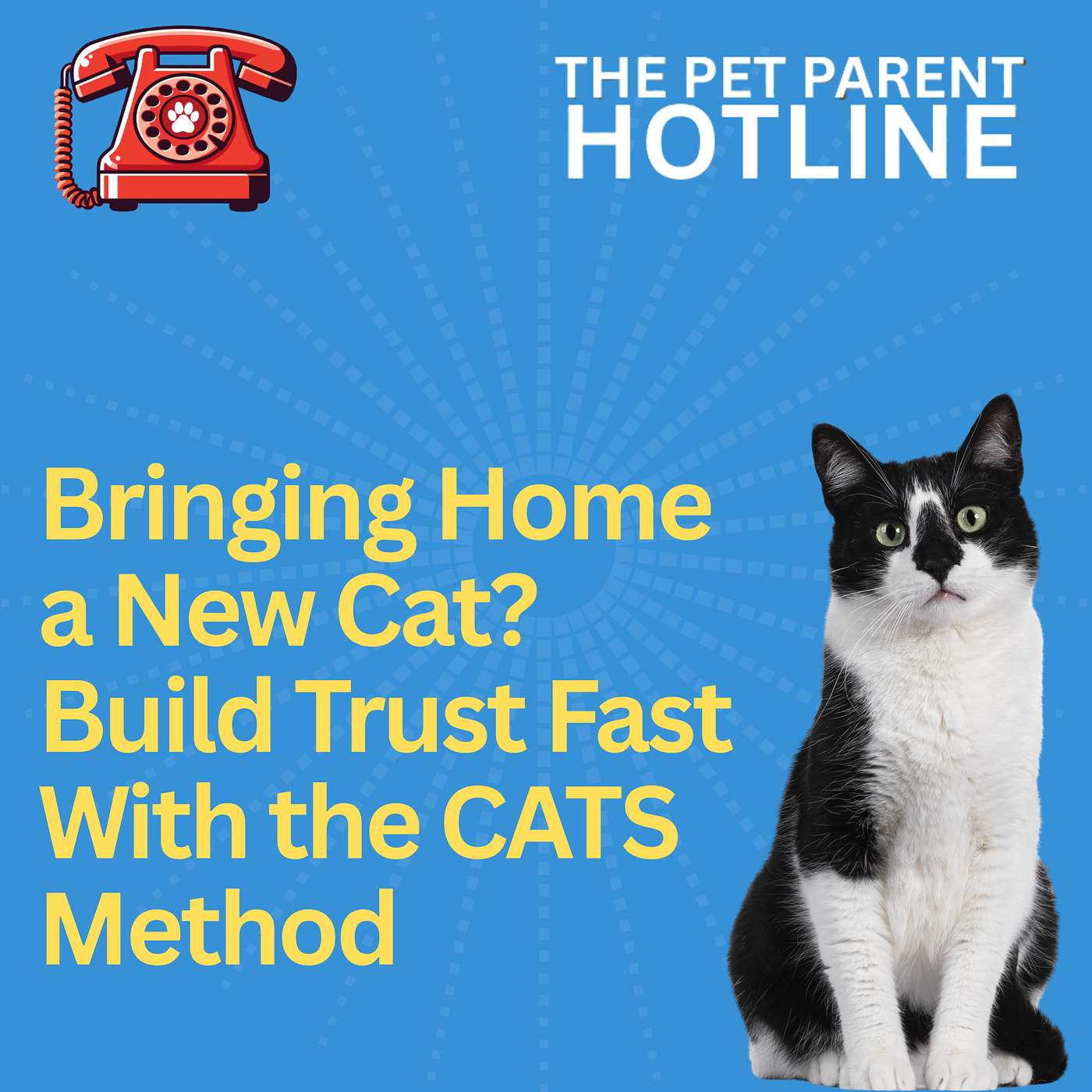 Bringing Home a New Cat? Build Trust Fast With the CATS Method