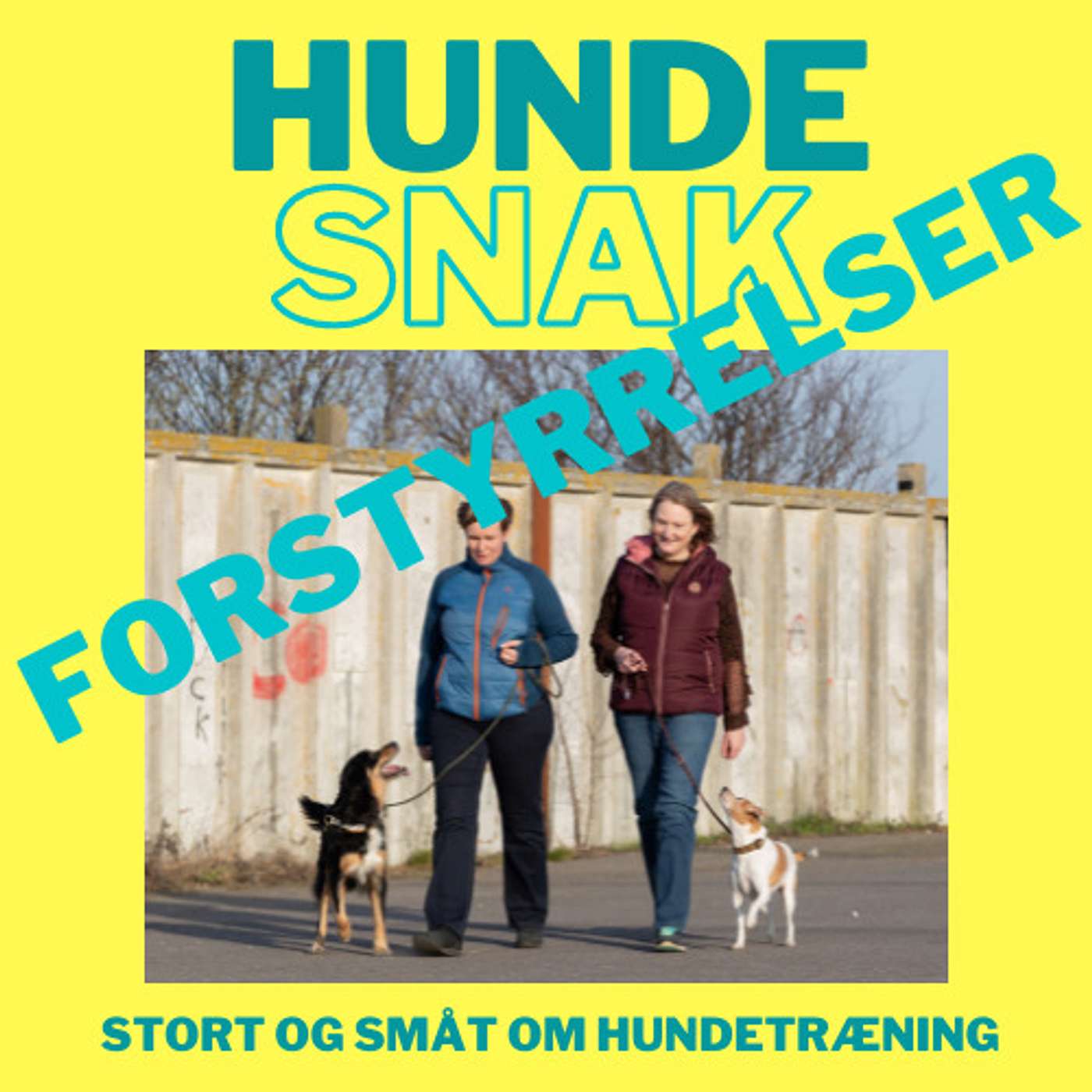 07 Forstyrrelser 07 Forstyrrelser