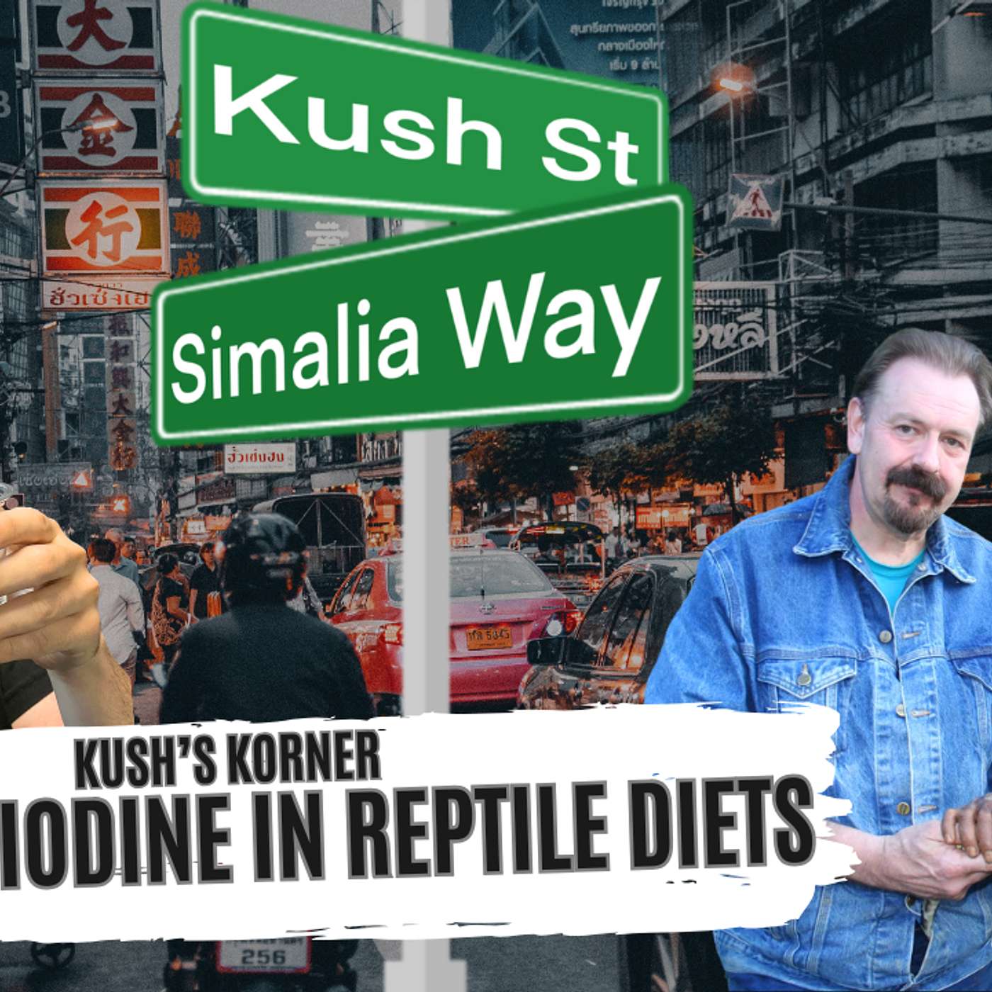 TERRY CULLEN ON SALT AND IODINE IN REPTILE DIETS | REPTILE NUTRITION TALK | KUSH'S KORNER LIVE