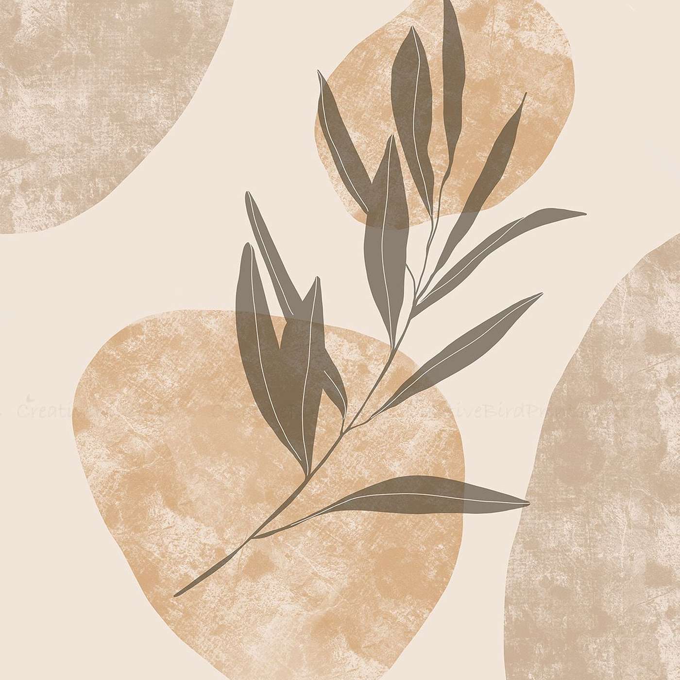 Soft Belly Breath Practice Soft Belly Breath Practice