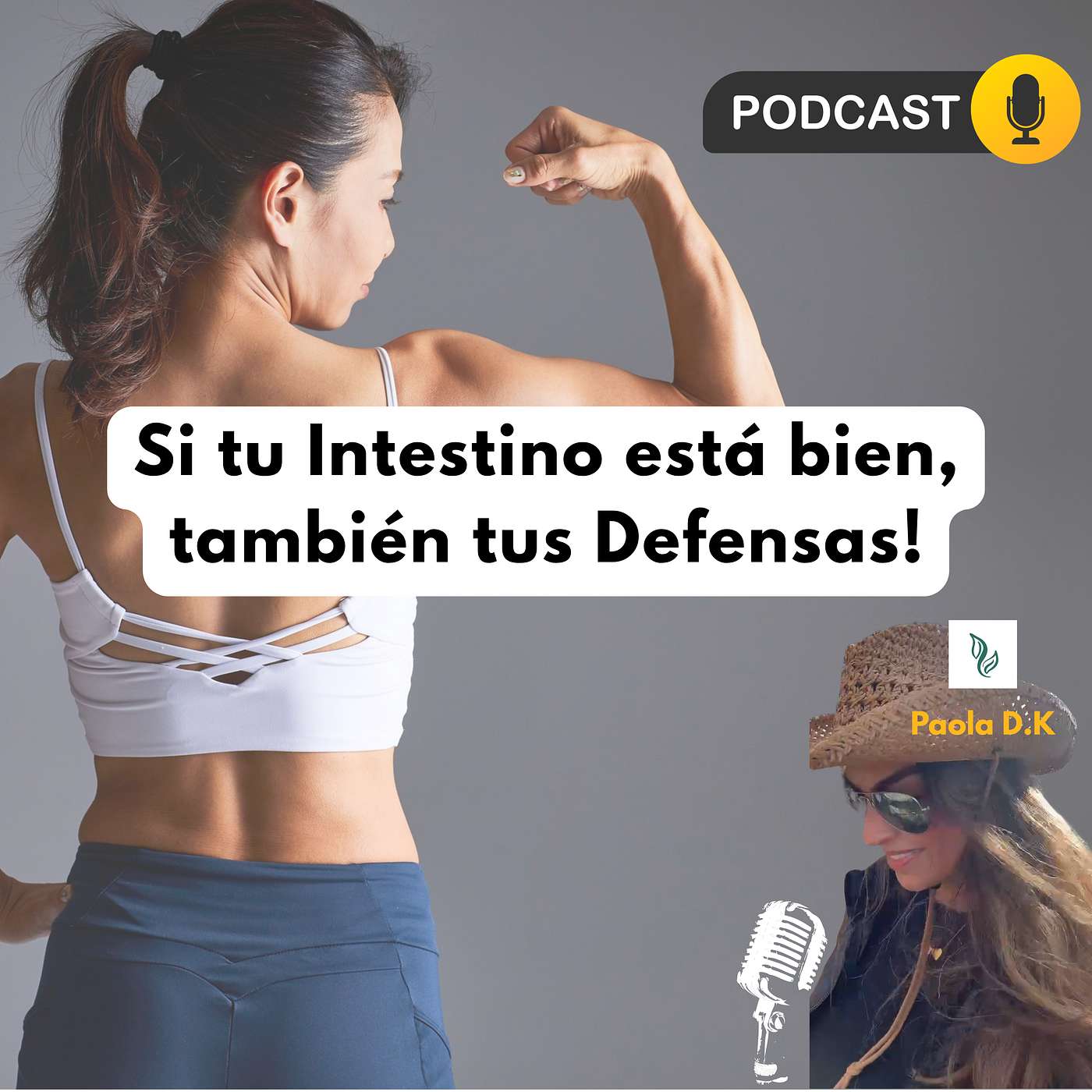 Si tu Intestino está bien, también tus Defensas! episode artwork