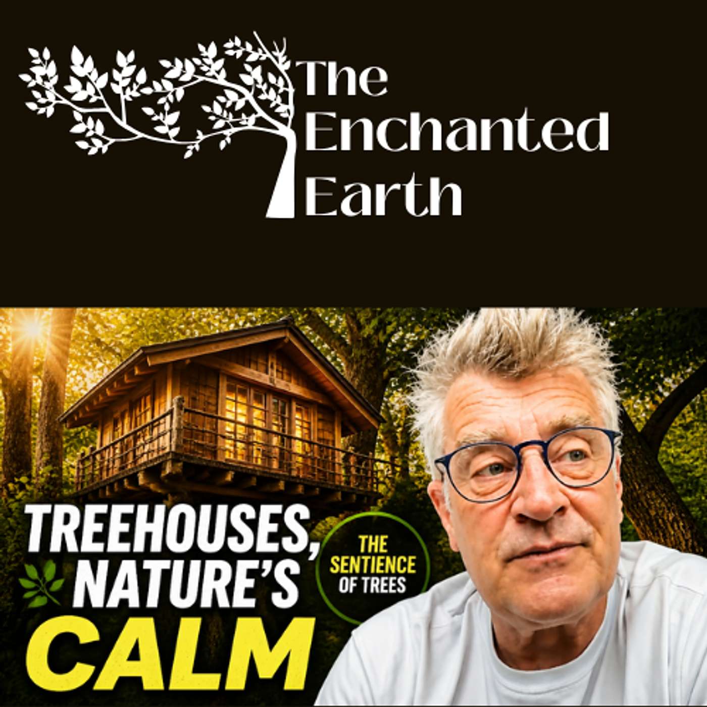 The Enchanted Earth Podcast with Maureen Calamia