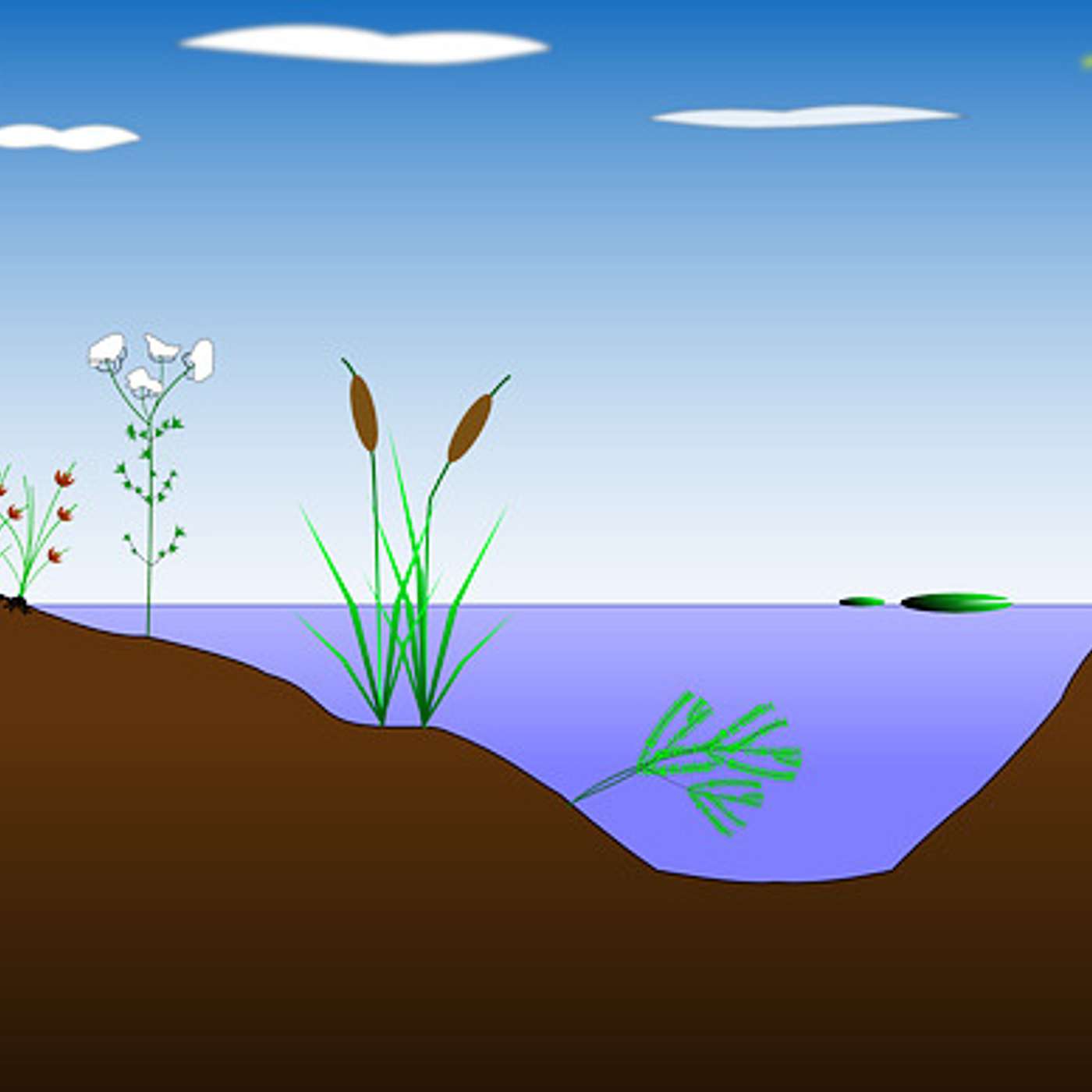 178_Sustainable Habits for a Sustainable Habitat
