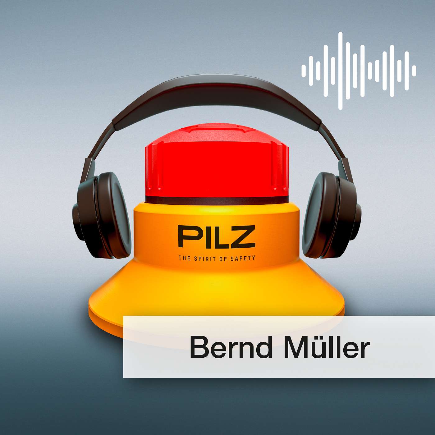 Pilz GmbH & Co. KG