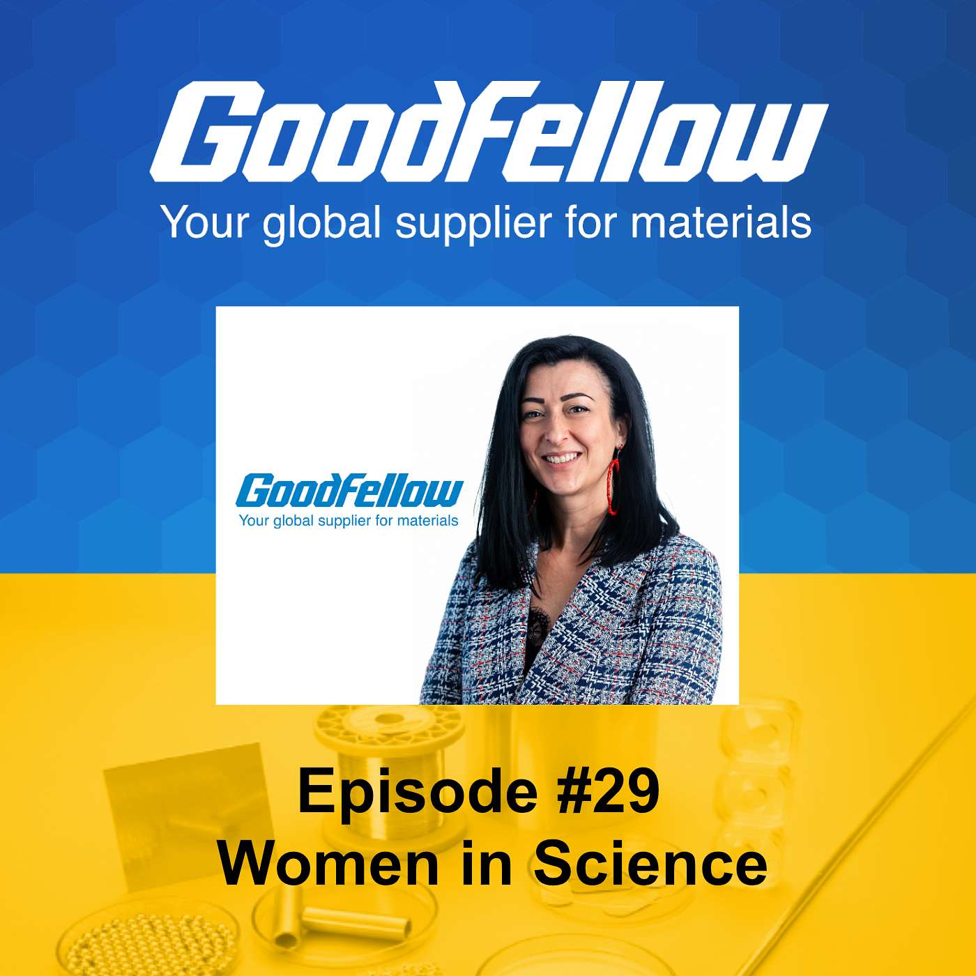 Innovation discussed by Goodfellow