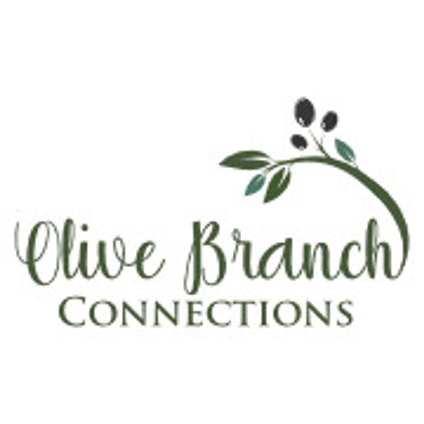 Olive Branch Connections
