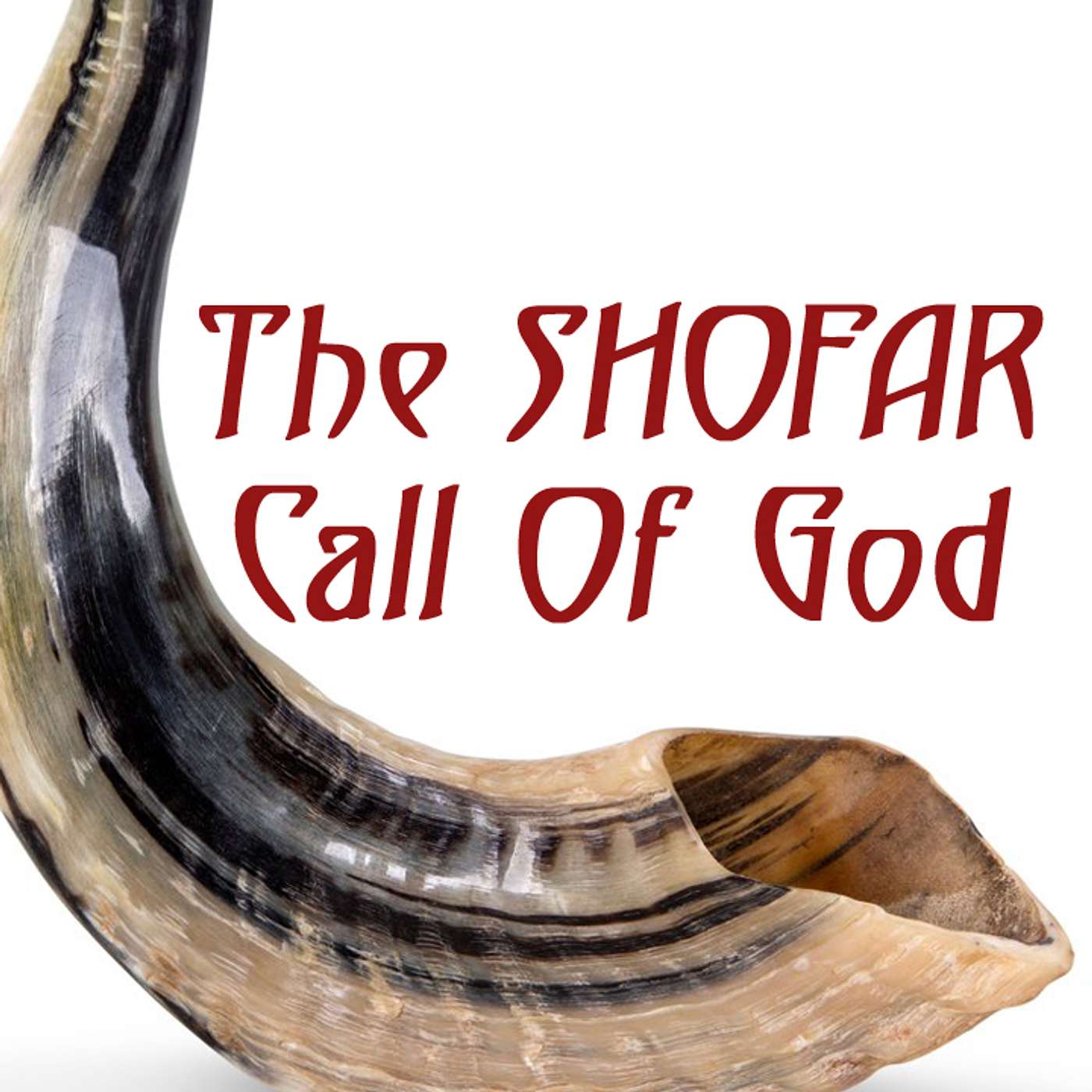 📯 The SHOFAR Call Of God: WW-2