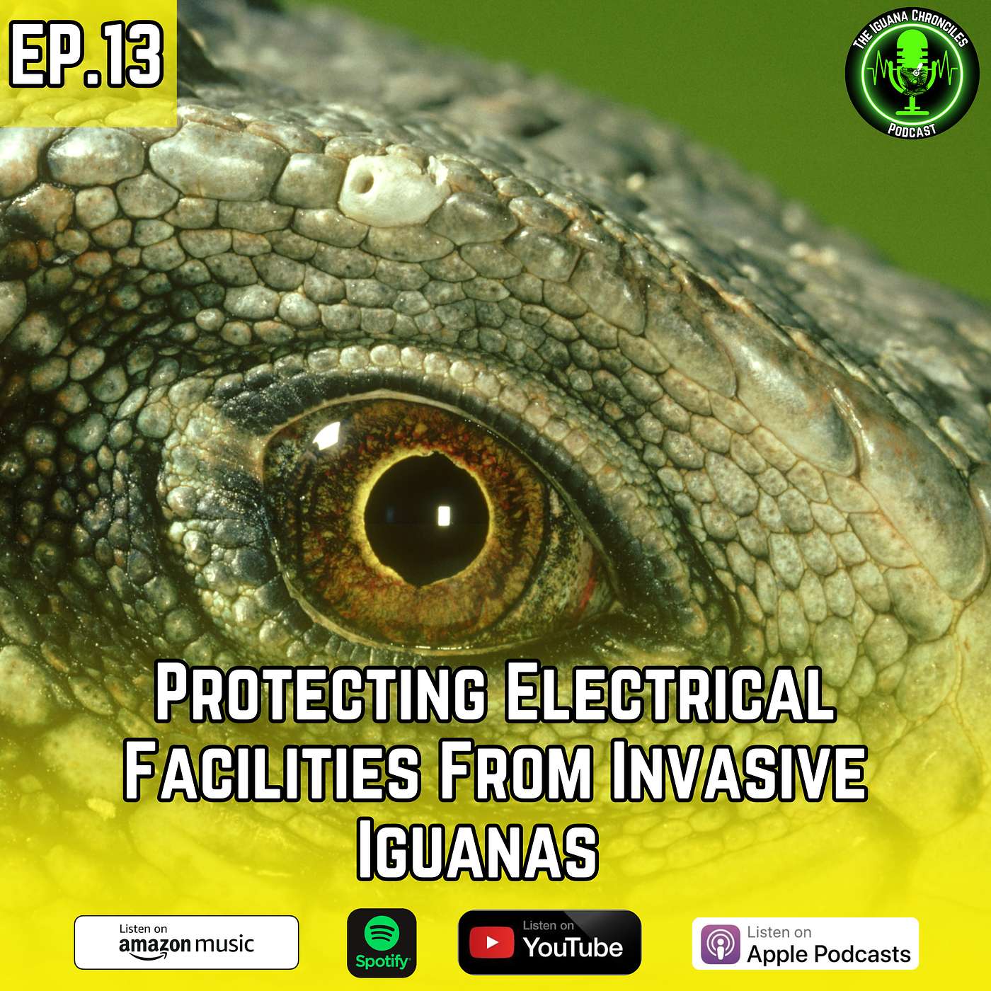 The Iguana Chronicles Podcast