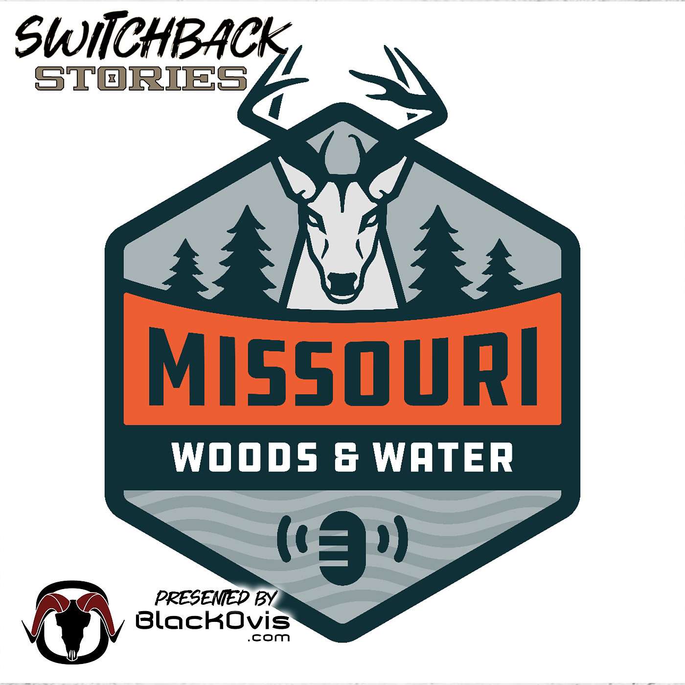 Switchback Stories