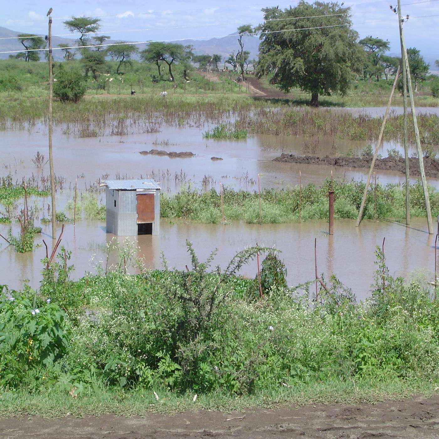 SSD 66 - Niger : Le gouvernement organise la riposte face aux inondations episode artwork