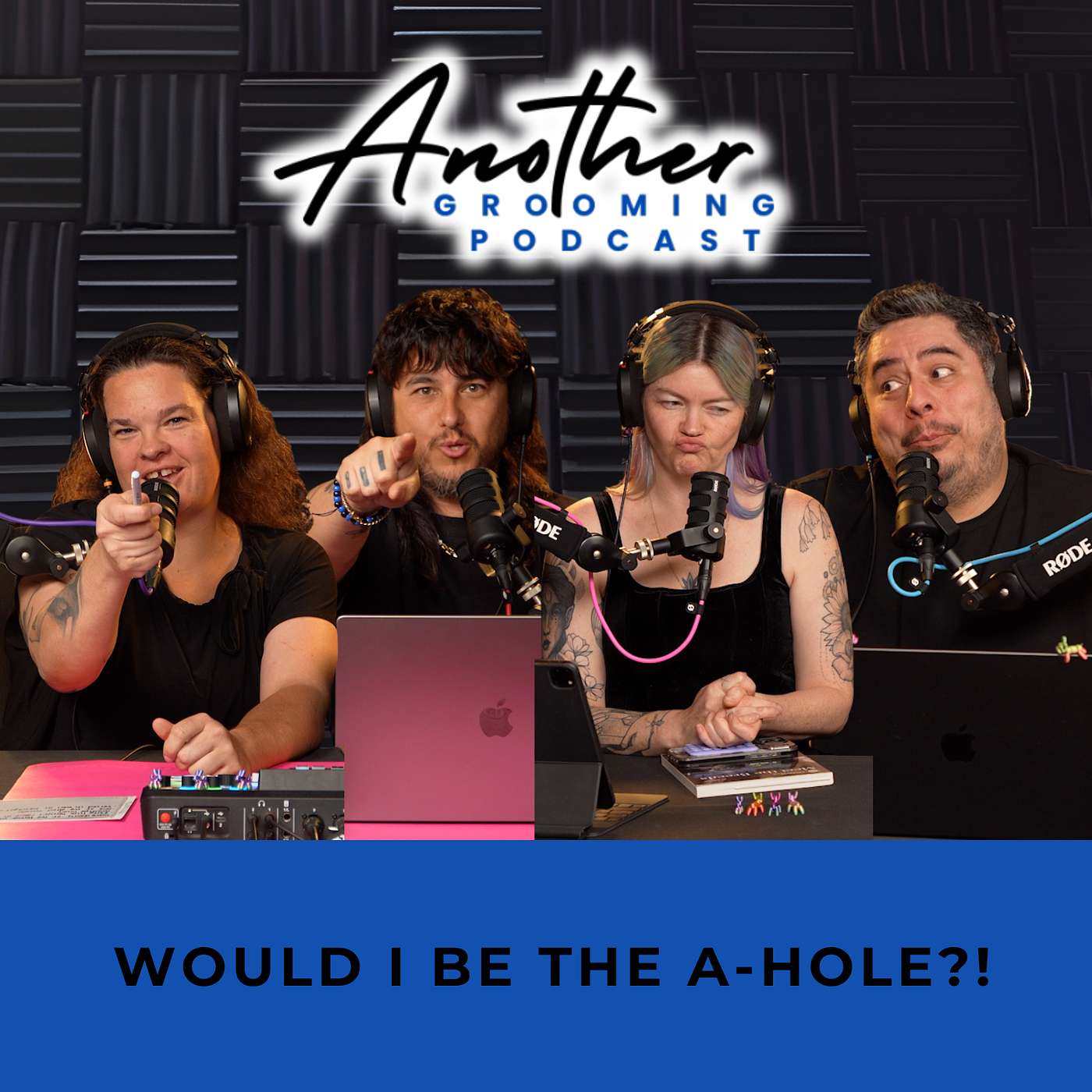 Would I Be The A-Hole?! episode artwork