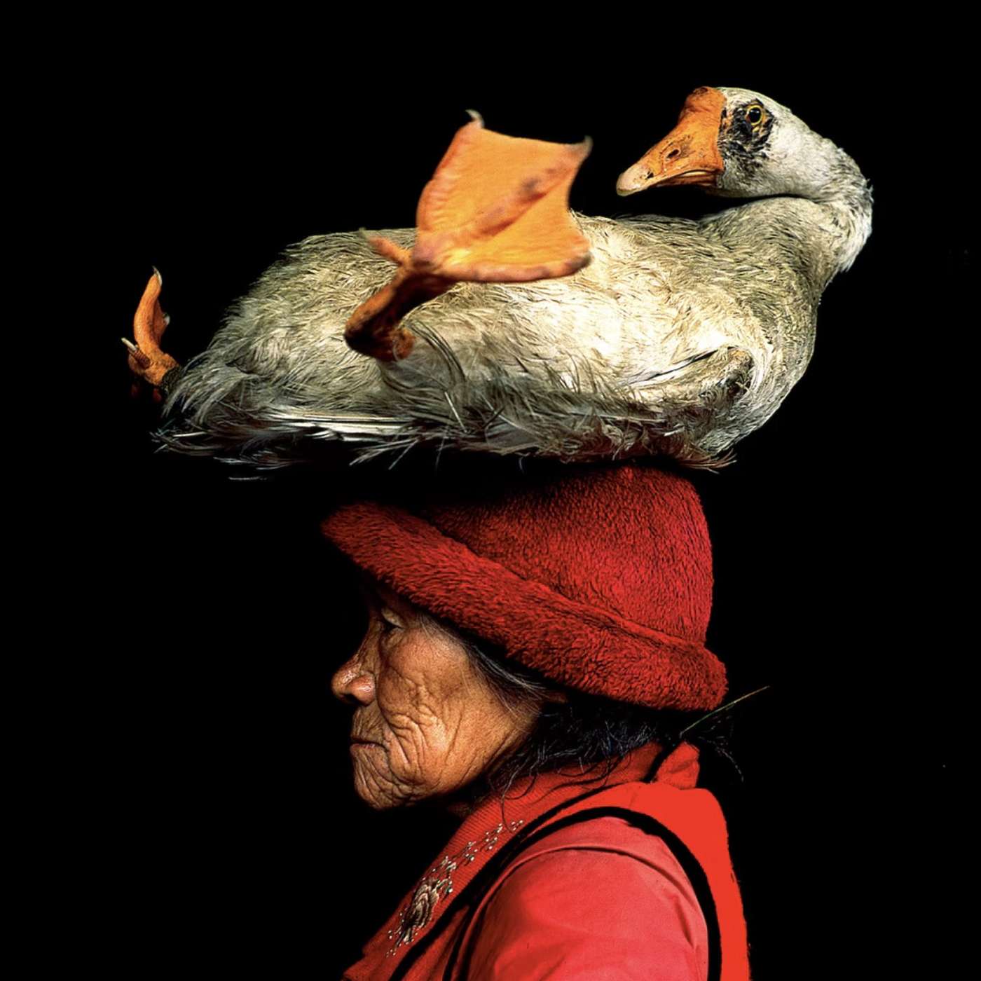 Cristina Mittermeier Explains Why Being A Good Photographer Isn't Enough Anymore, E117