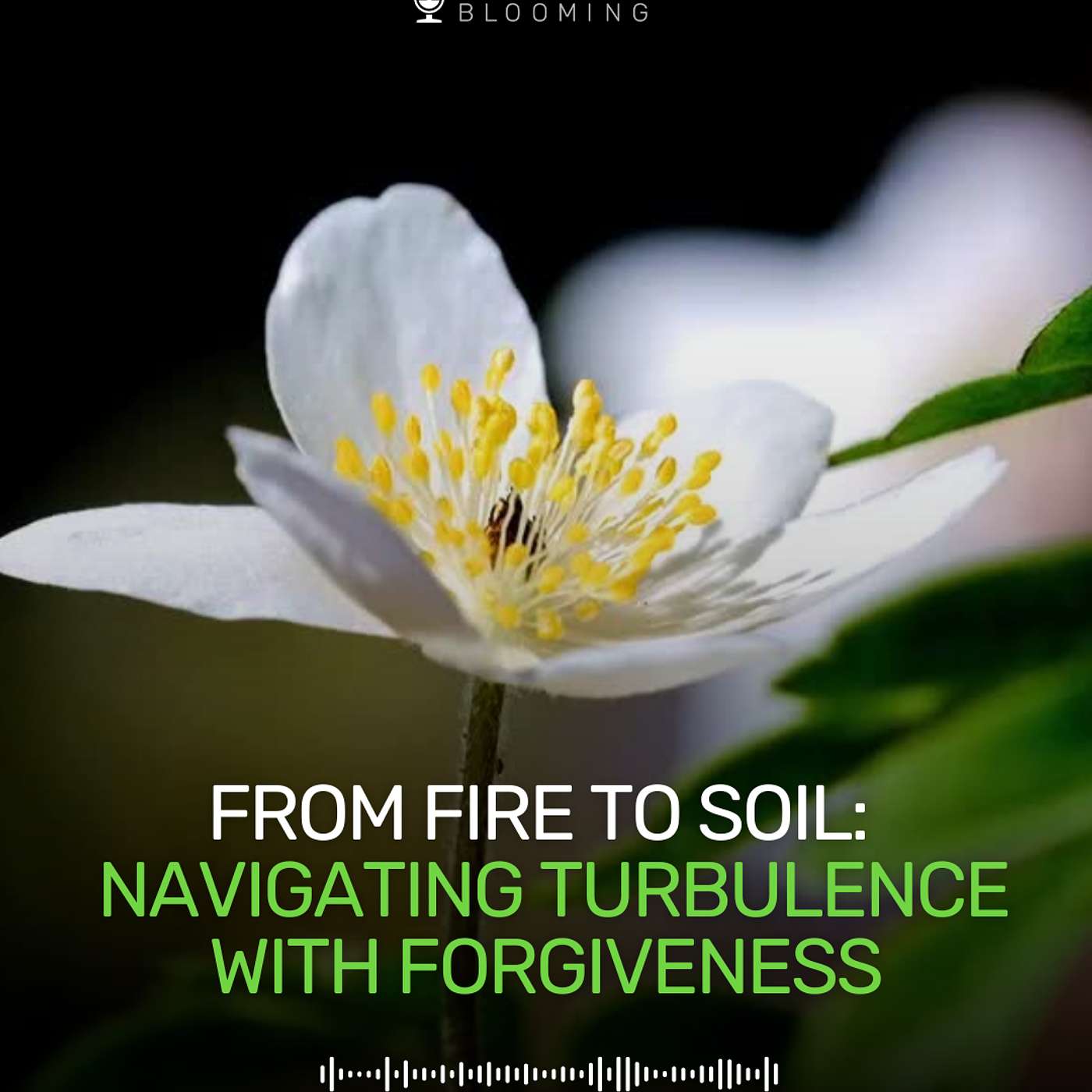 From Fire to Soil: Navigating Turbulence with Forgiveness