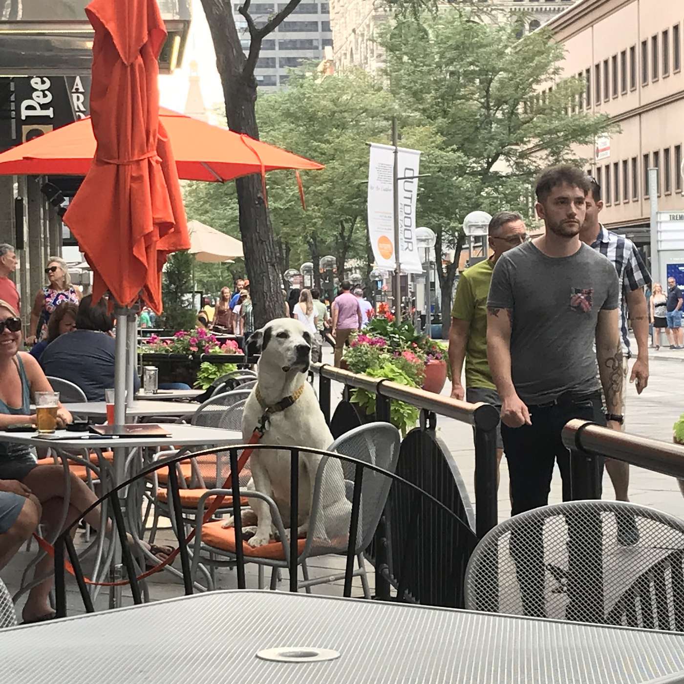 First Cup of Coffee - July 26, 2018