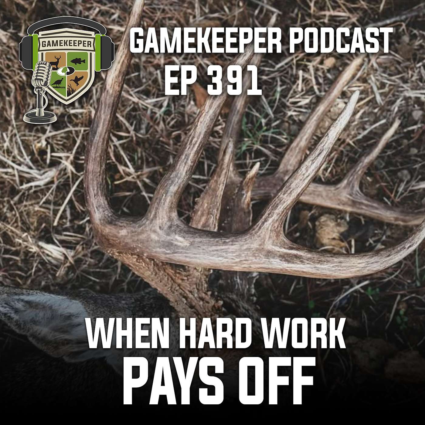 EP:391 | When Hard Work Pays Off EP:391 | When Hard Work Pays Off