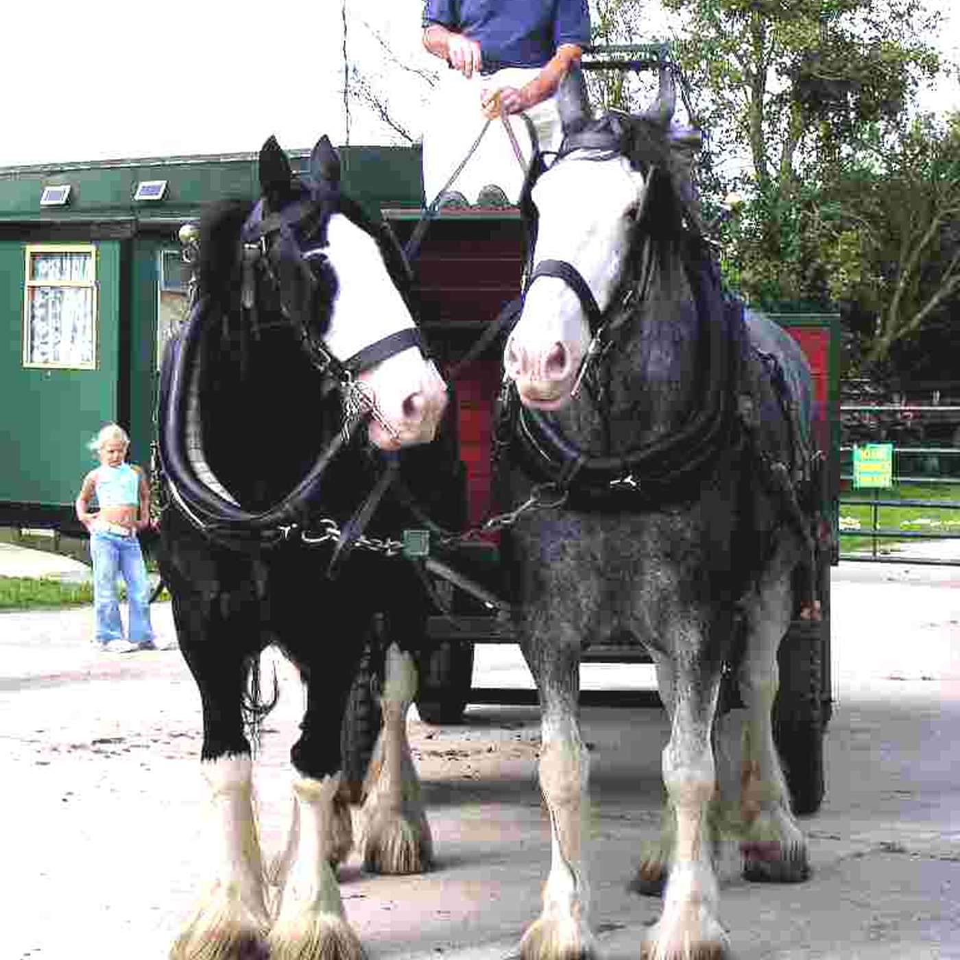 Keith Sanders the Storyman  Podcast