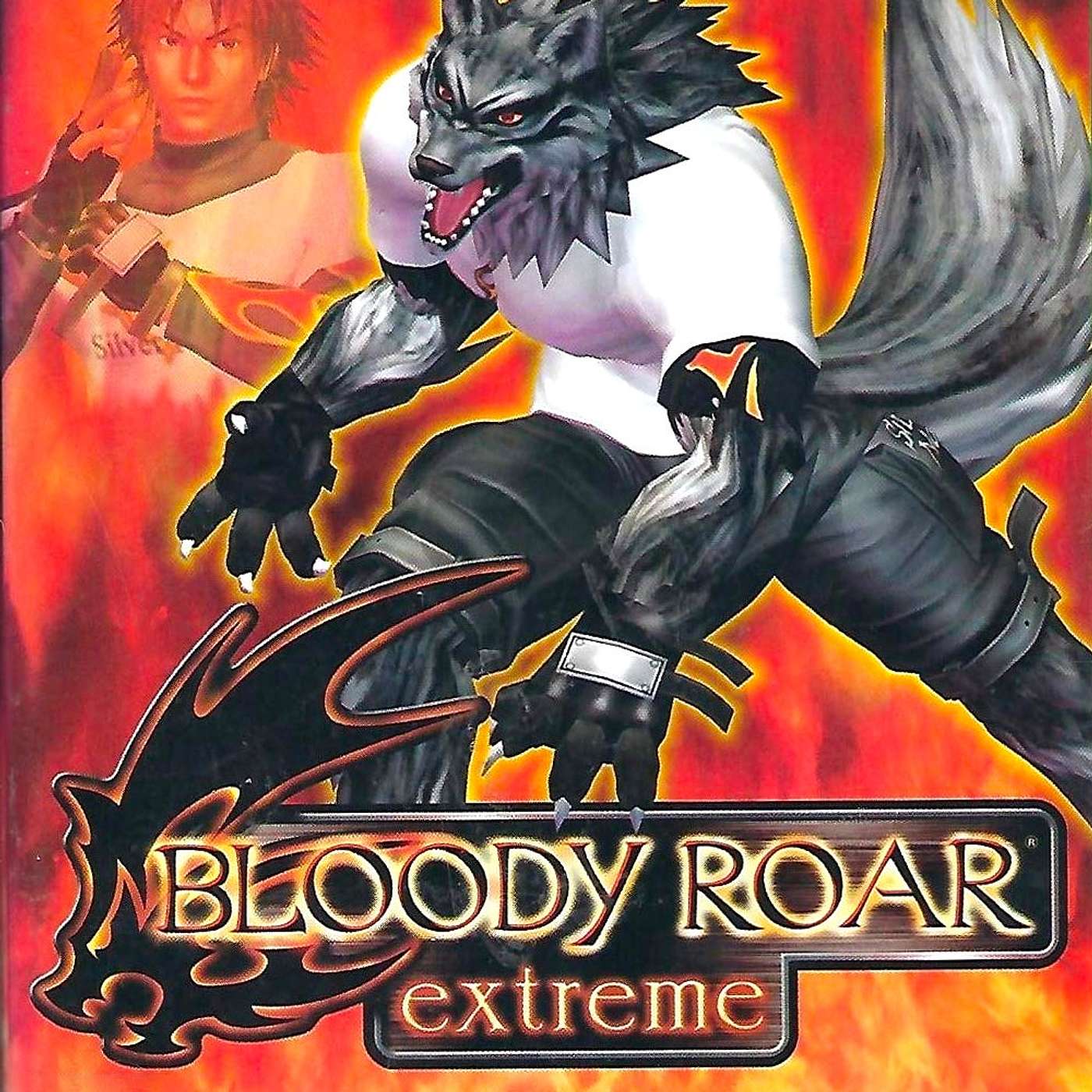 Bloody Roar Extreme, Is It Worth It?