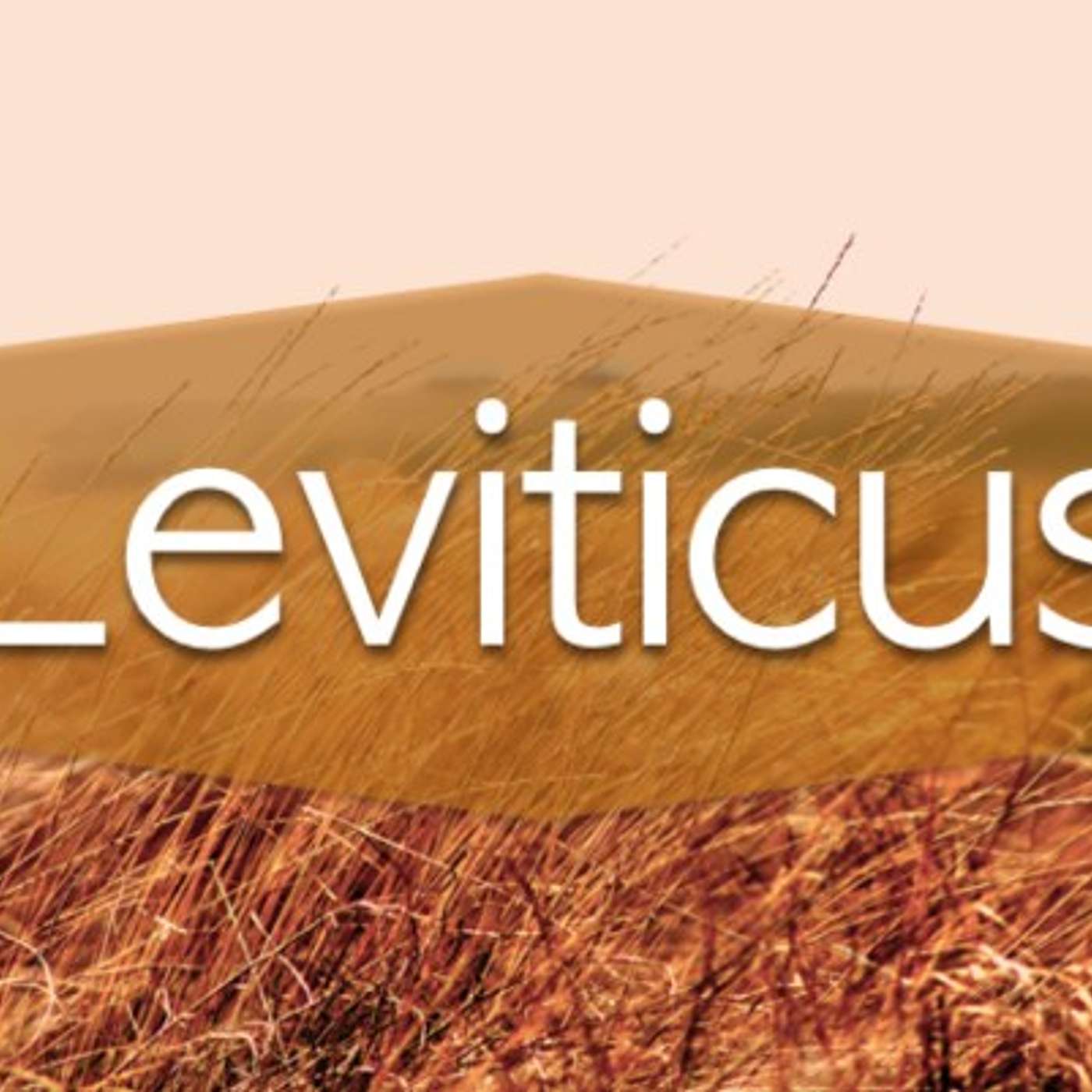How to Wash your Hands and Heart. (Leviticus 12:1-13:59)