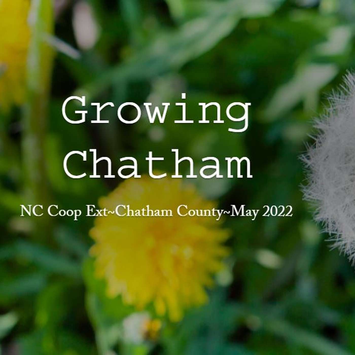 Growing Chatham May 2022 Edition