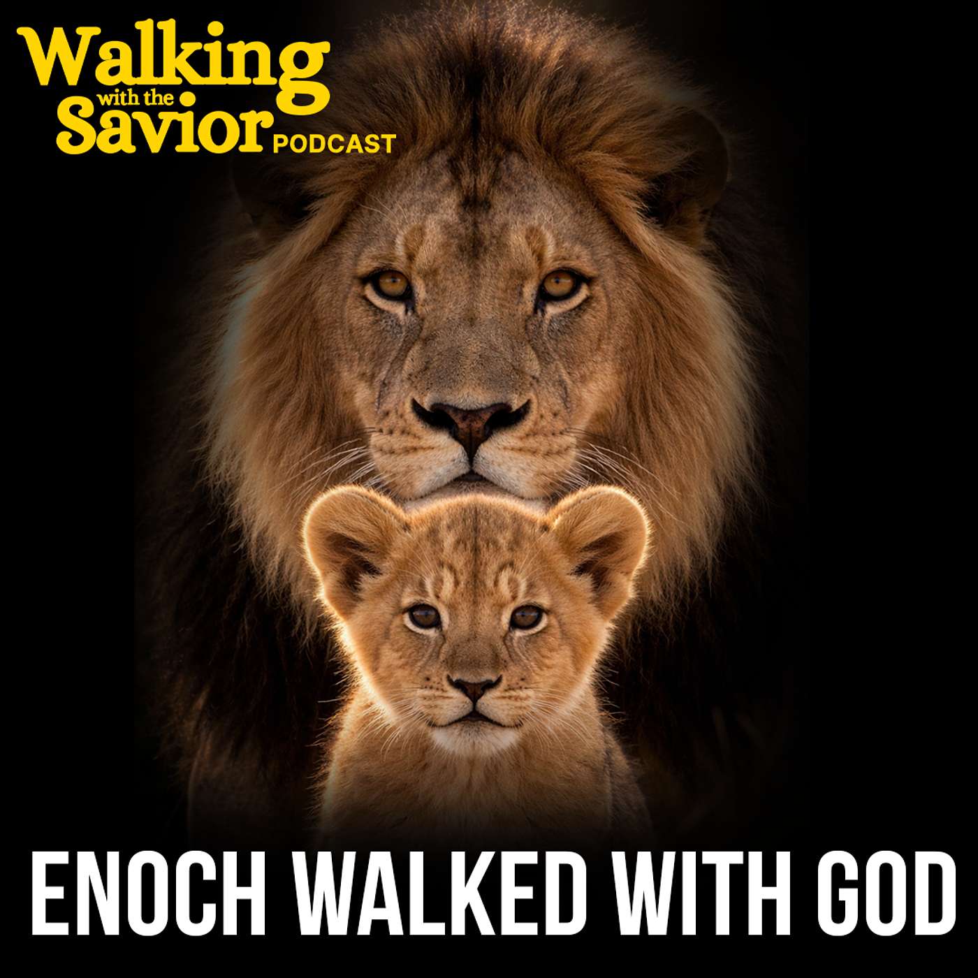 Come Follow Me: Moses 6 - Walking with God - One Tool that Makes all the Difference - EP 104