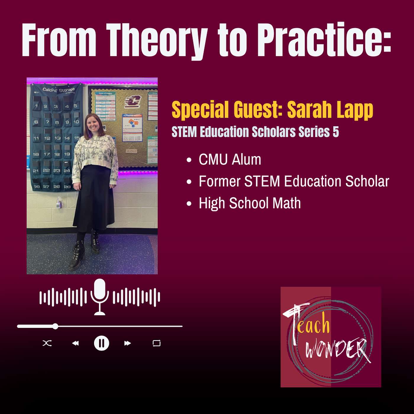 From Theory to Practice: Sarah Lapp (STEM Education Scholar Series 5)