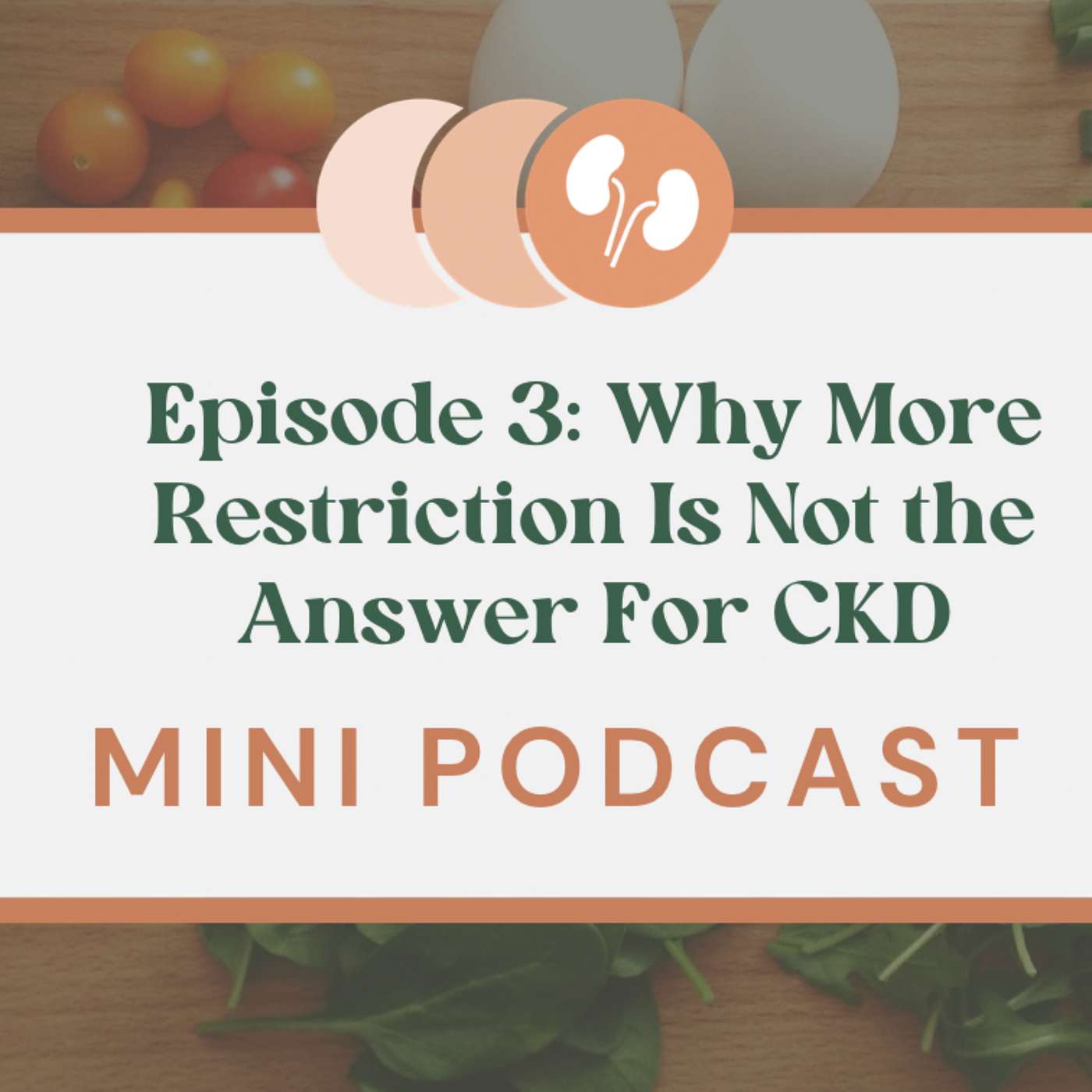 Why More Restriction Is Not the Answer for your CKD episode artwork