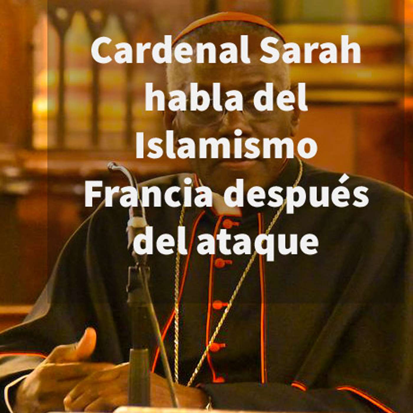 Episodio 381: 🙏Cardenal Sarah habla del Islamismo 😱 Lamentable decisión del gobierno de Francia después de Ataque😔 episode artwork