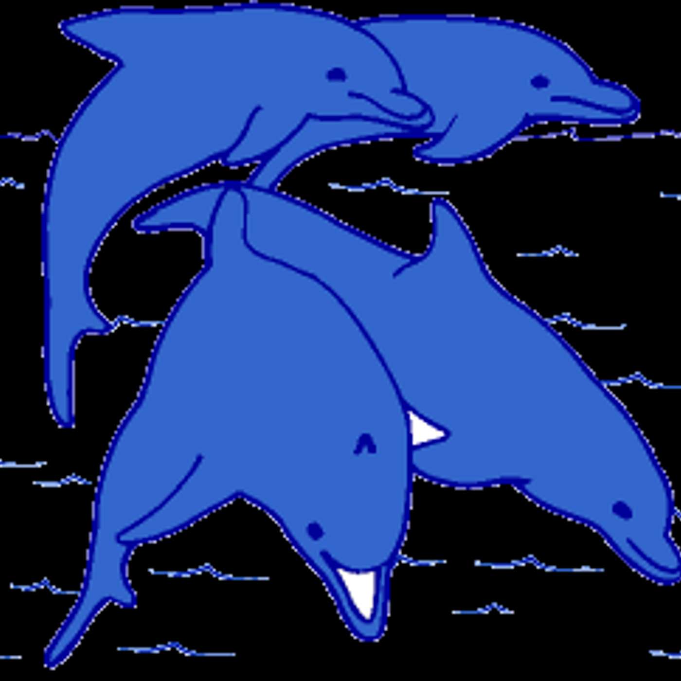 Delphin Training