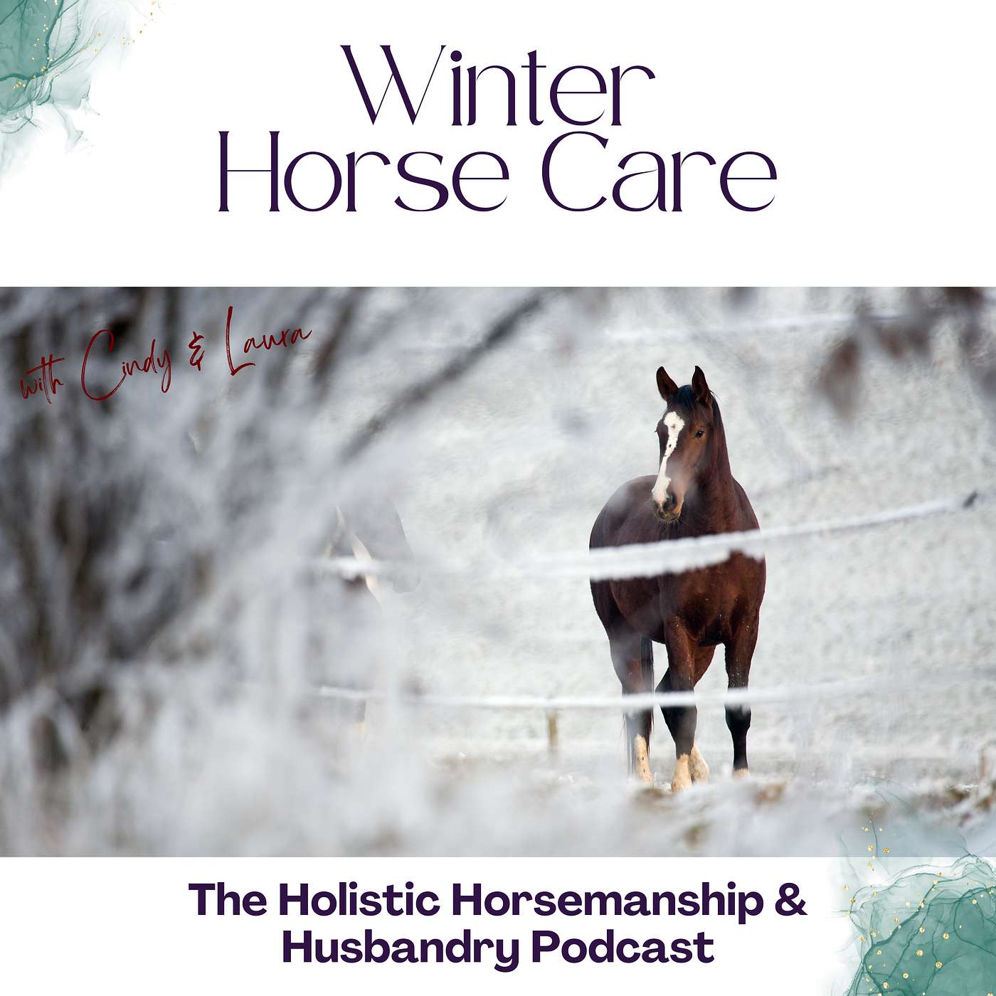The Holistic Horsemanship and Husbandry Podcast