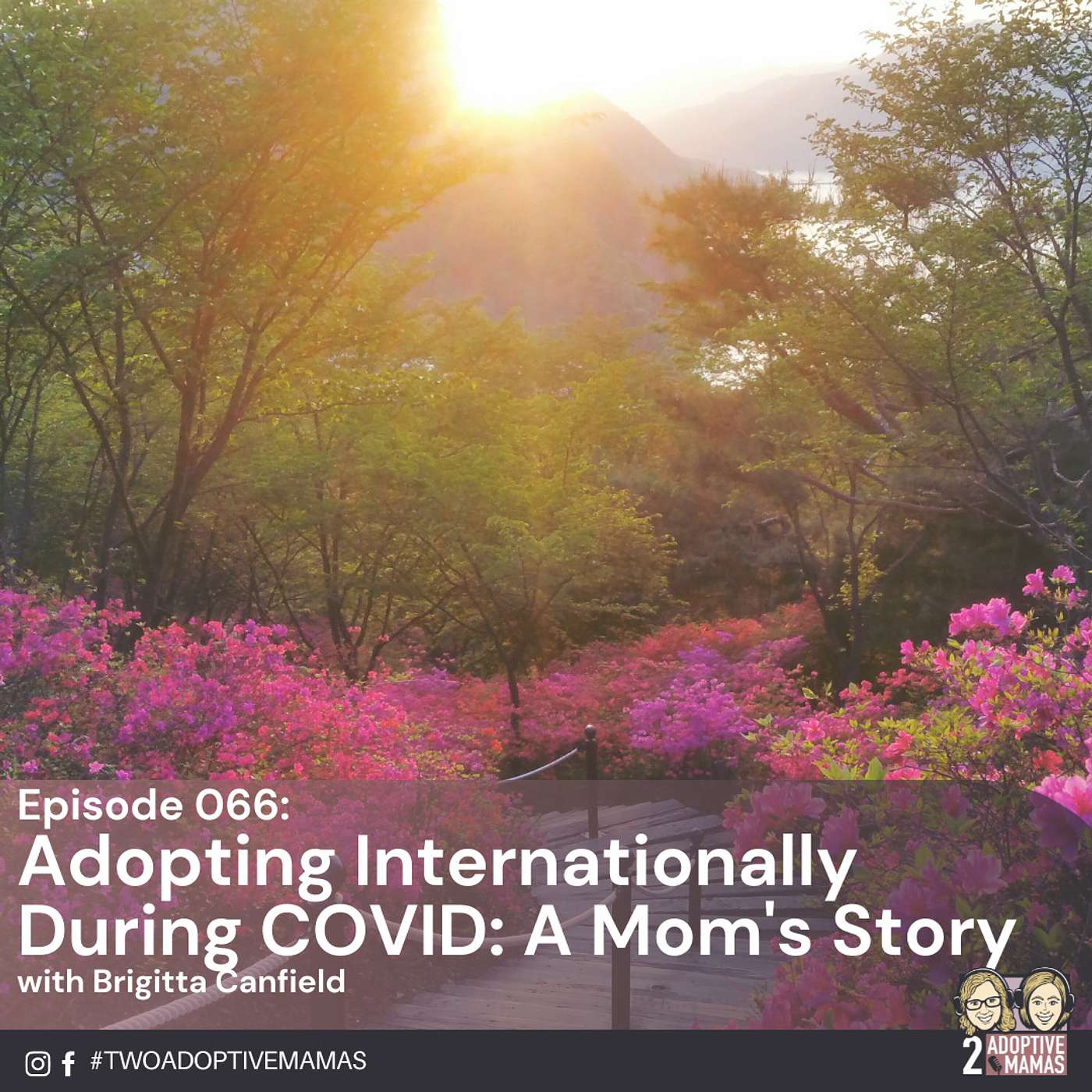 Adopting Internationally During COVID: A Mom's Story with Brigitta Canfield