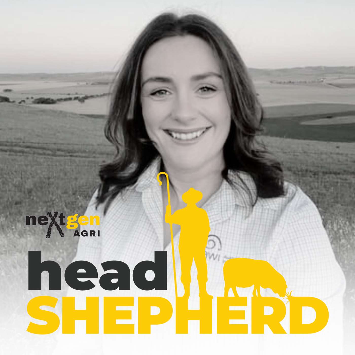 Understanding the wool industry pipeline with Shannon Donoghue Understanding the wool industry pipeline with Shannon Donoghue