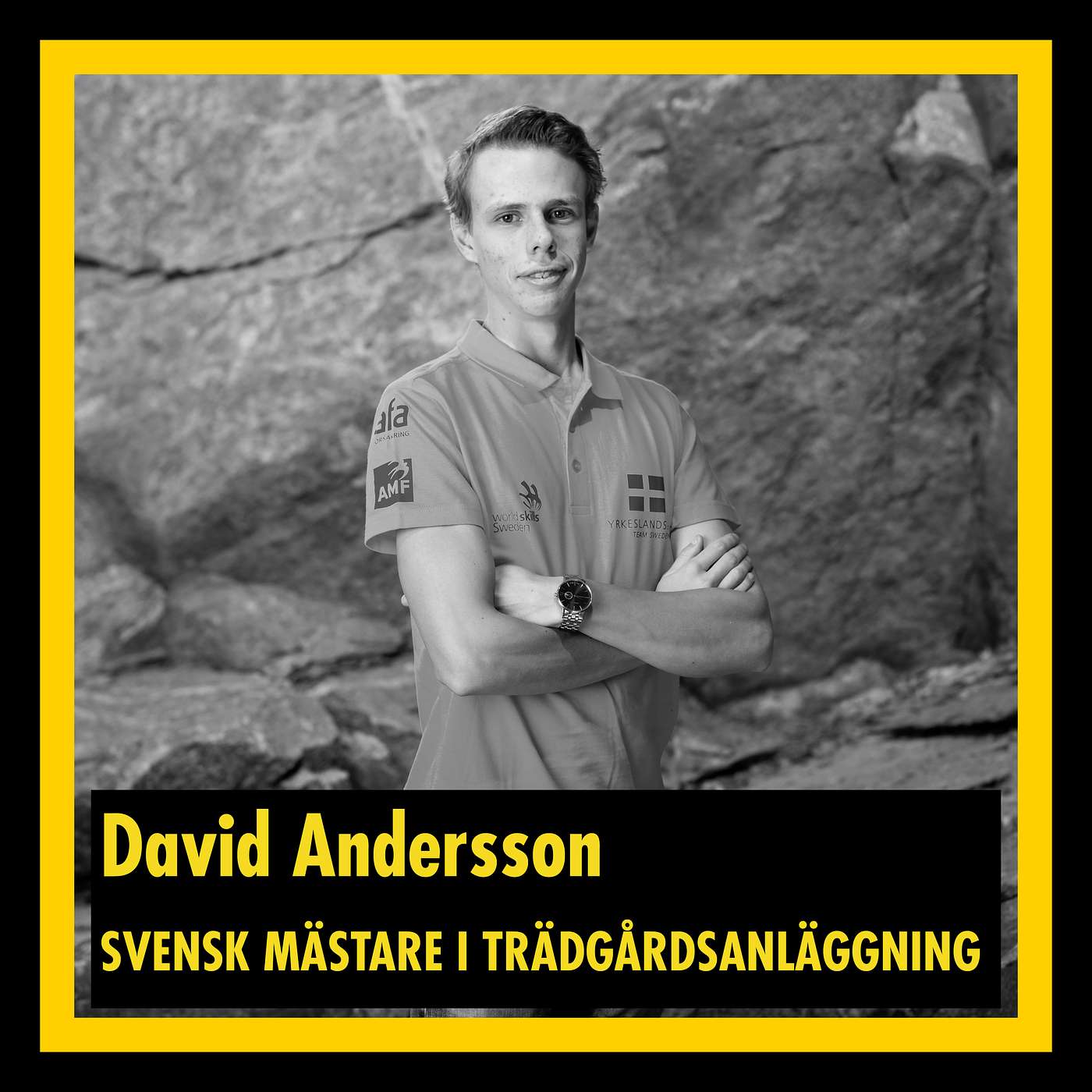 En podd om yrkesstolthet