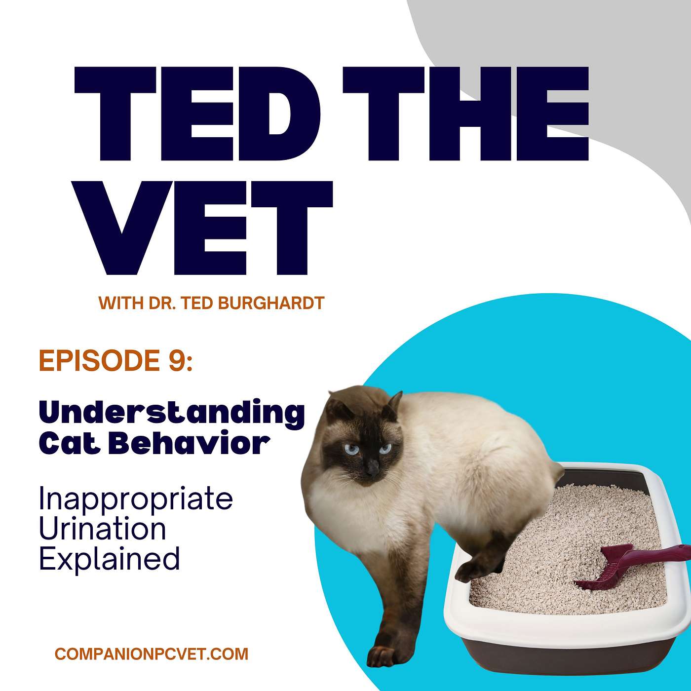 Episode 9: Understanding Cat Behavior: Inappropriate Urination Explained