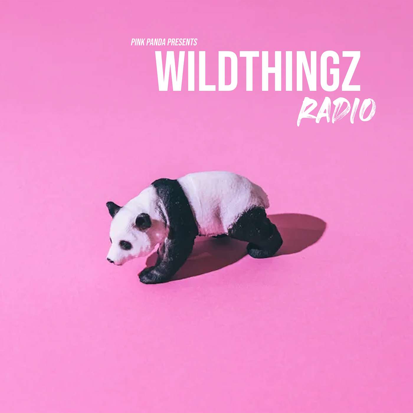 Pink Panda Presents - Wild Thingz Radio - Ep 25 episode artwork
