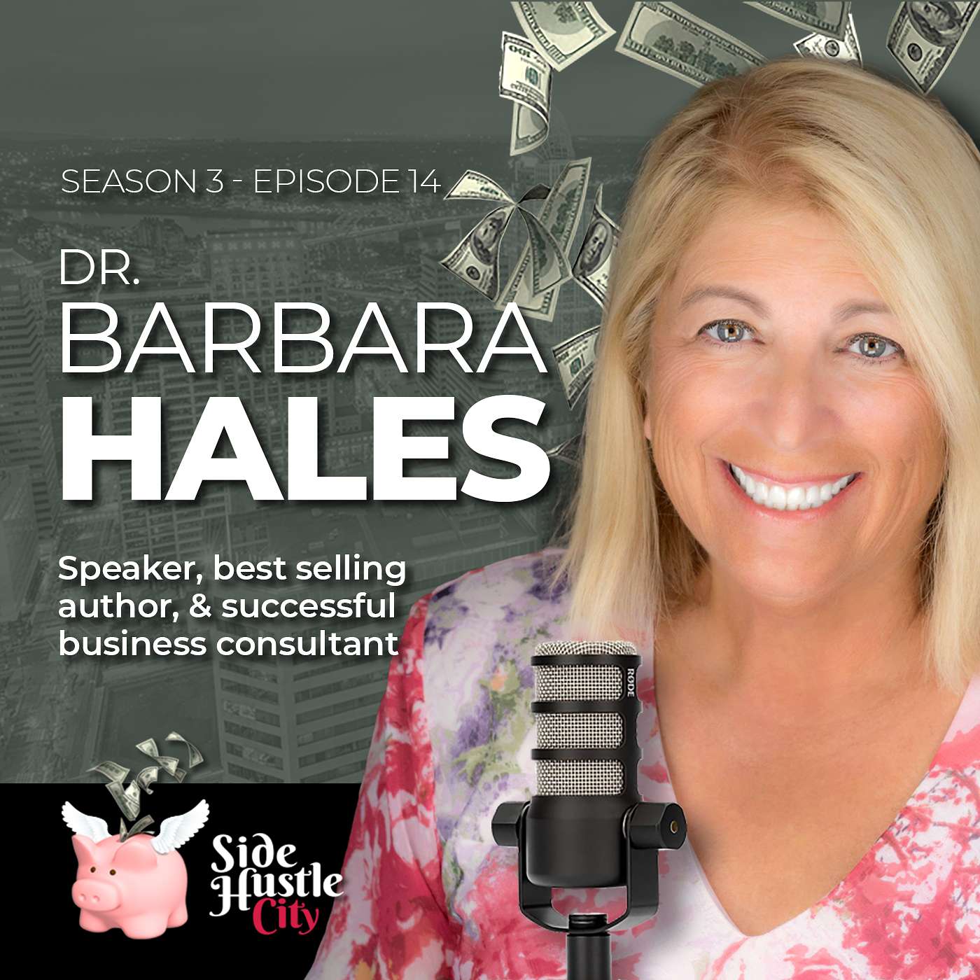 S3 - Ep14 - Speaker, best selling author, and successful business consultant Dr. Barbara Hales talks search and content marketing to boosts your side hustle's rankings, strengthens your brand, and Increases your visibility episode artwork