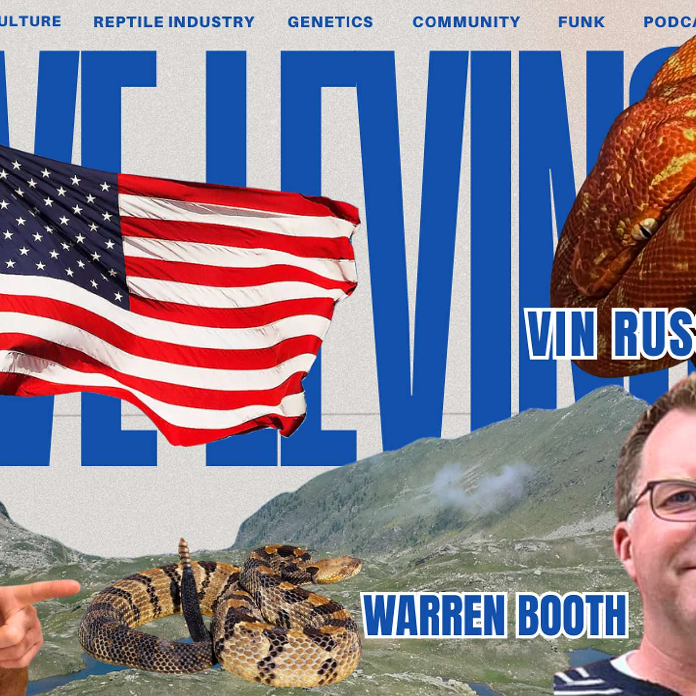 Is The Boa Market Hurting Like The Ball Python Market? | DLRP Live