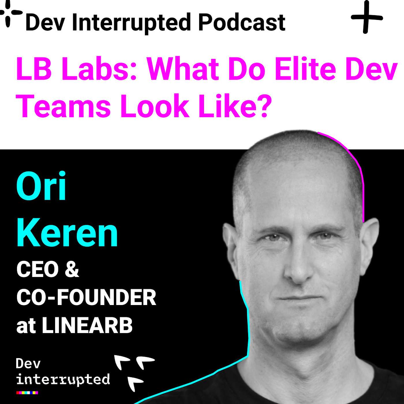 Dev Interrupted