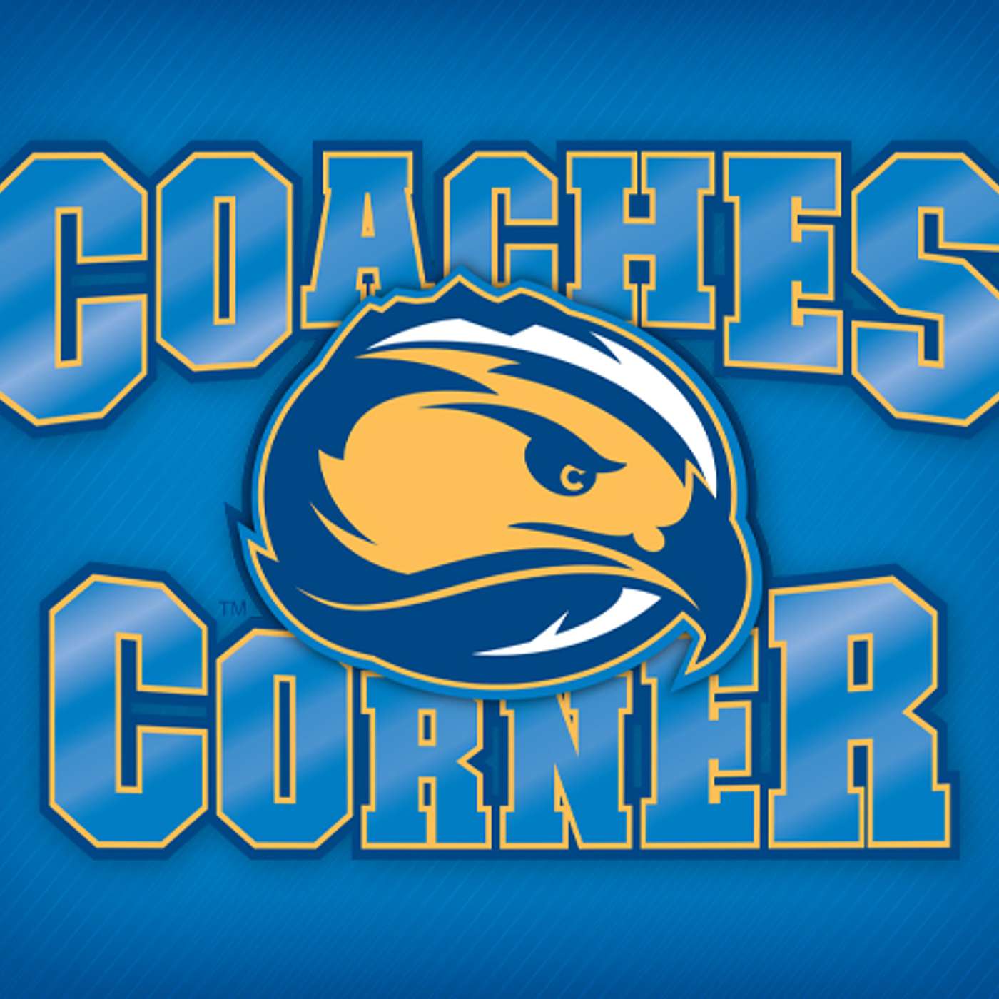 Skyhawks Coaches Corner