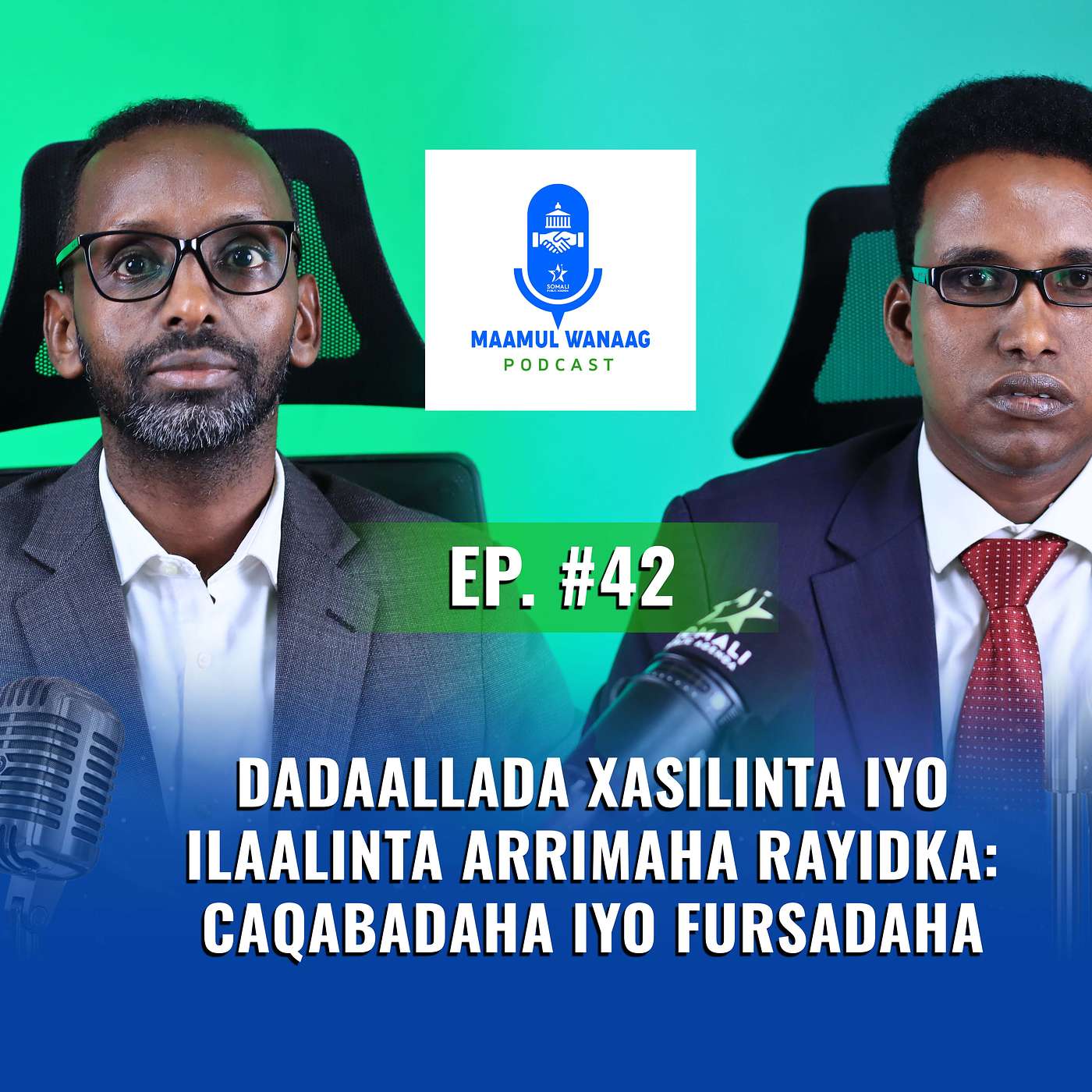Dadaallada Xasilinta iyo Ilaalinta Arrimaha Rayidka: Caqabadaha iyo Fursadaha