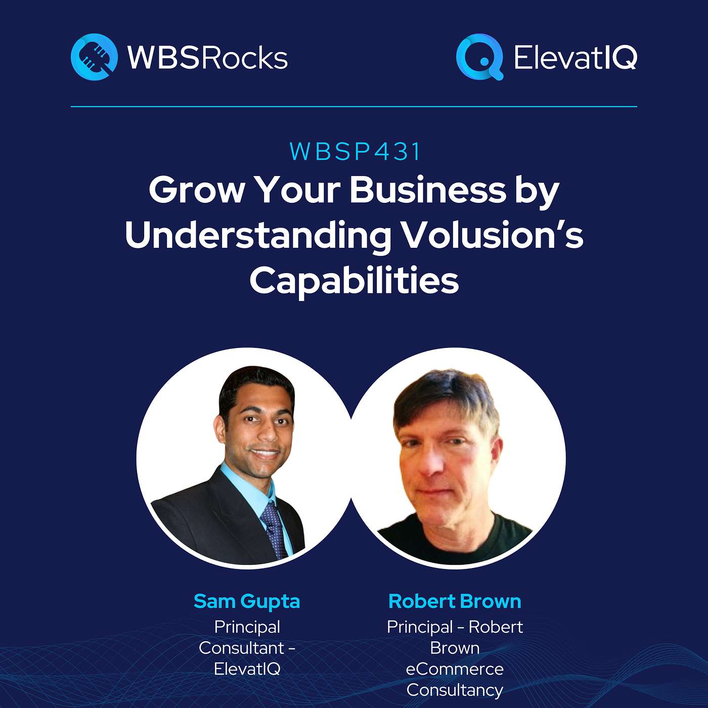 WBSP431: Grow Your Business by Understanding Volusion’s Capabilities, an Objective Panel Discussion