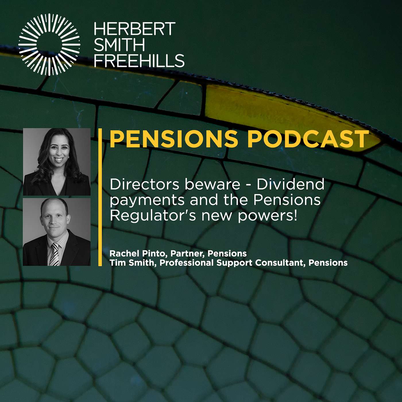 Directors beware - Dividend payments and the Pensions Regulator's new powers! episode artwork