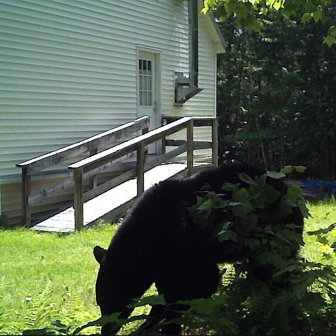 A VISIT FROM THE BIG BOY