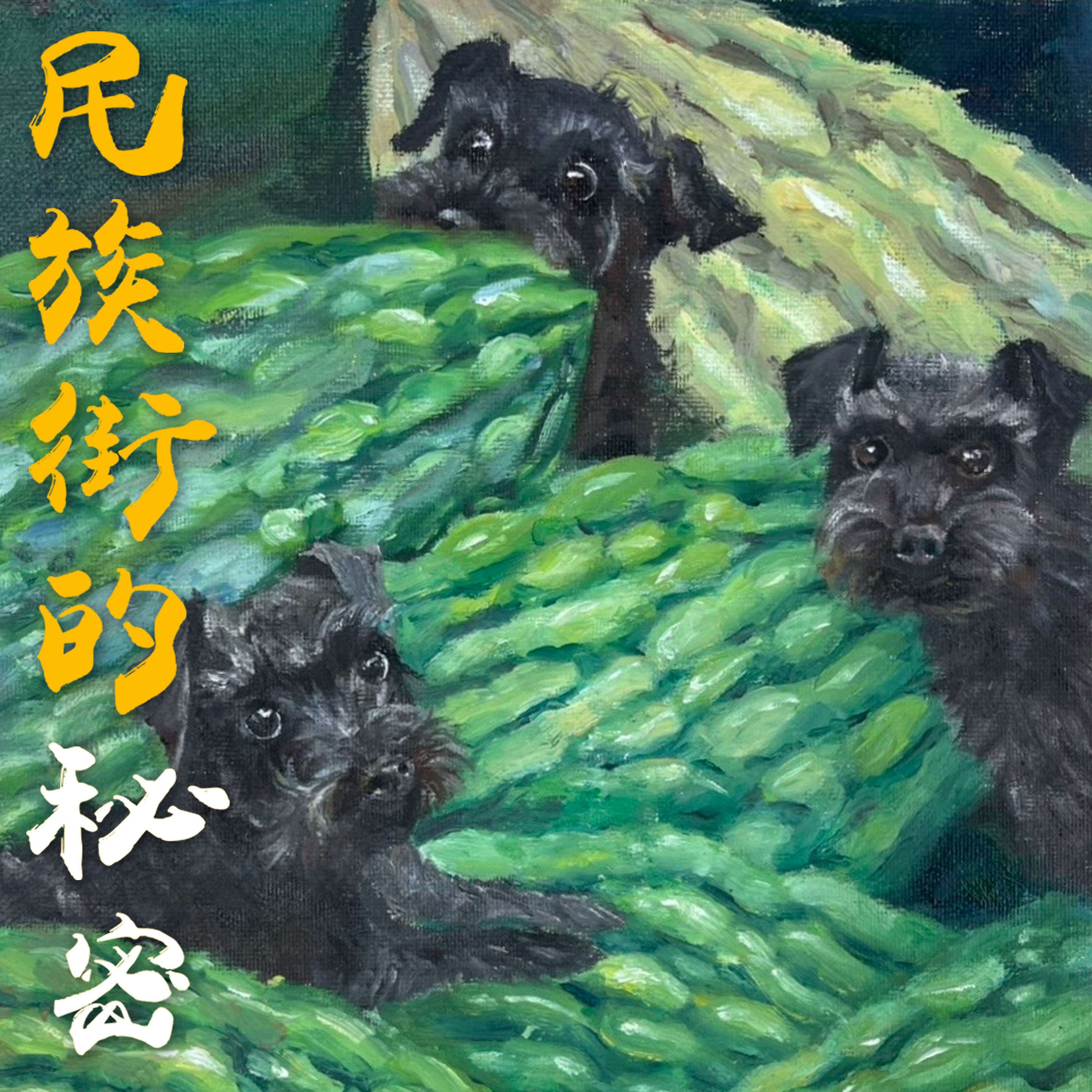 民族街的秘密