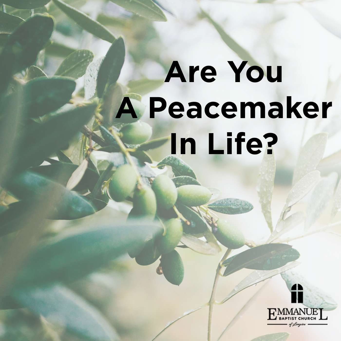 Are You a Peacemaker In Life? - Wednesday Bible Study 02/01/2023 - Pastor Bob Gray II episode artwork