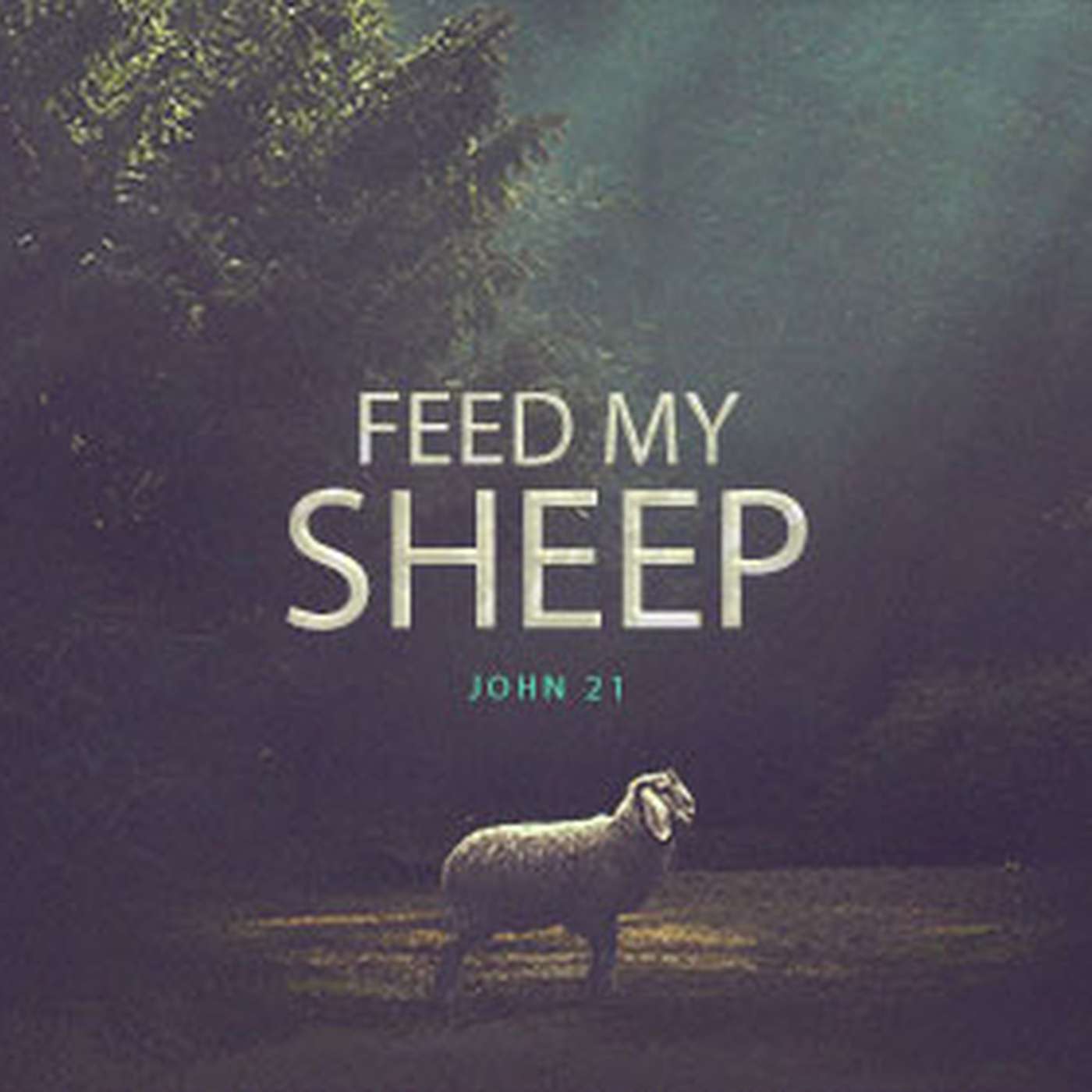 Feed My Sheep episode artwork