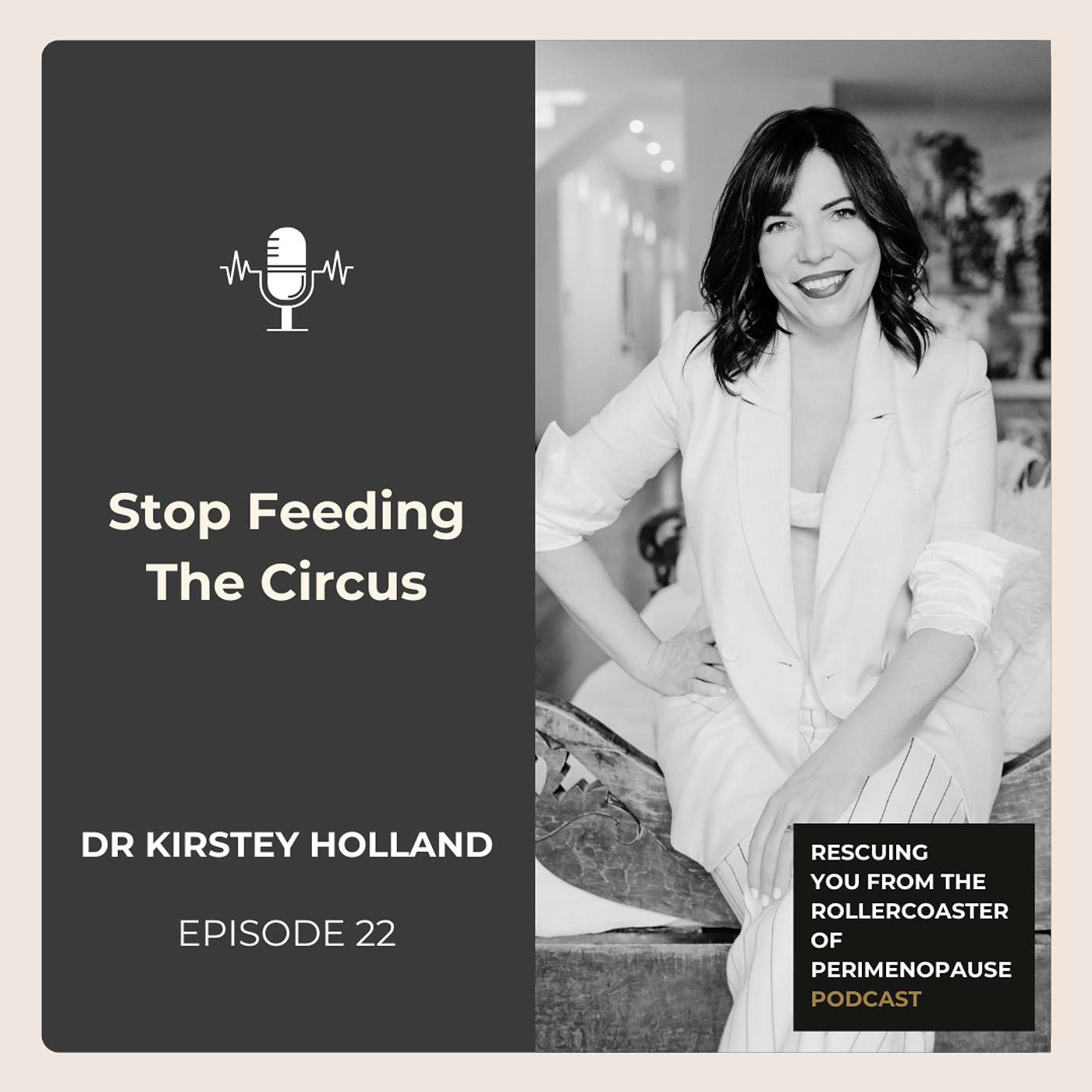 Stop Feeding The Circus episode artwork