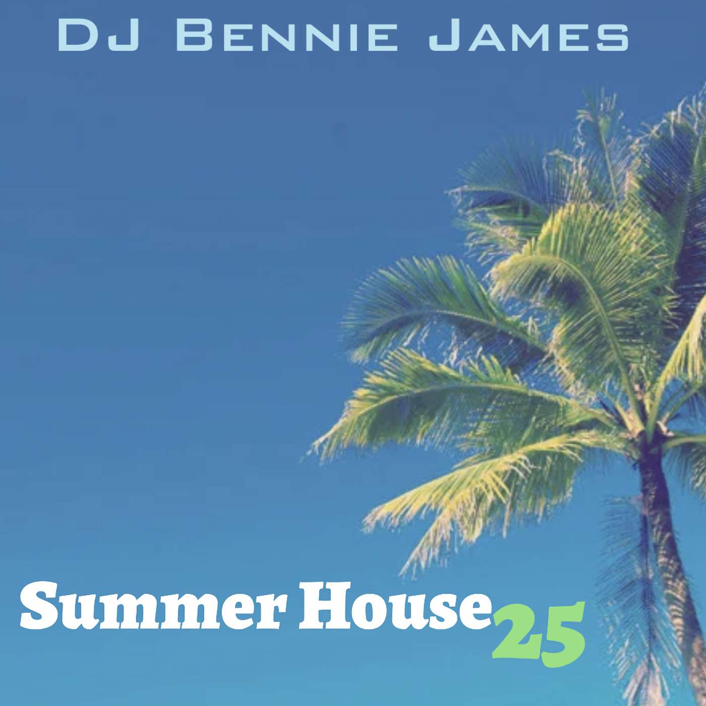Summer House 2025