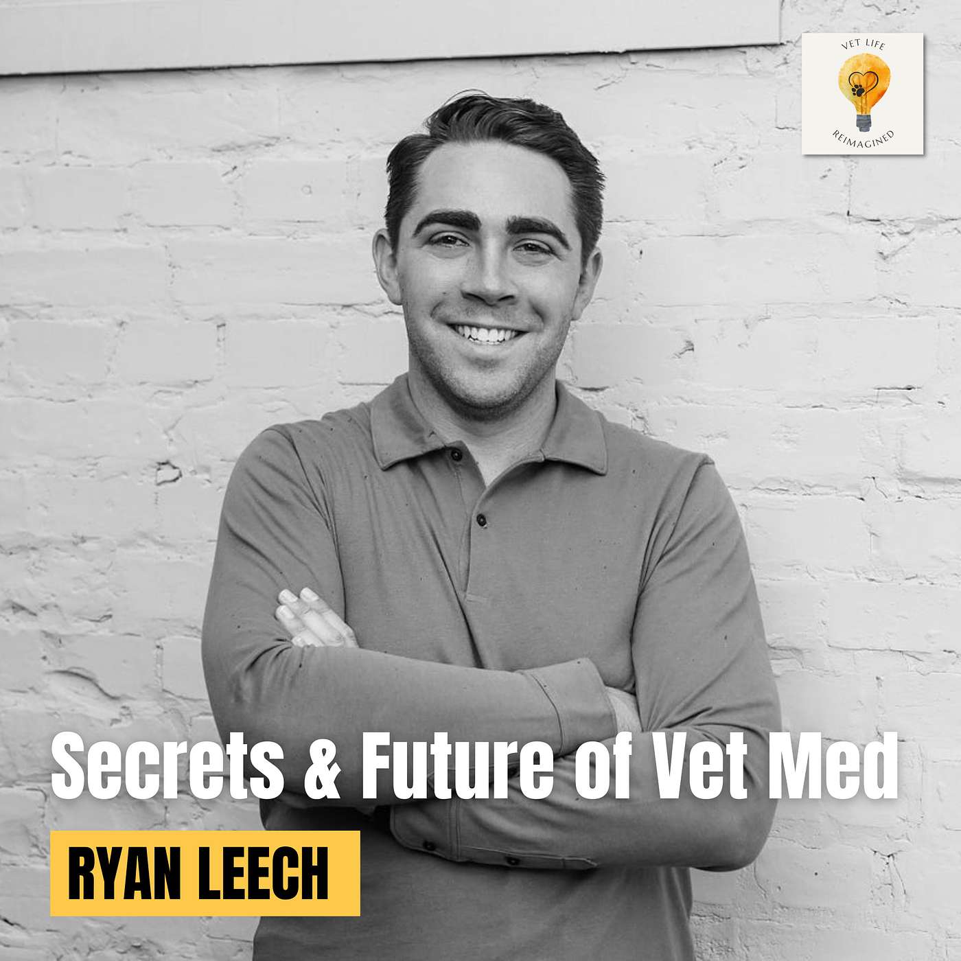 Vet Life Reimagined
