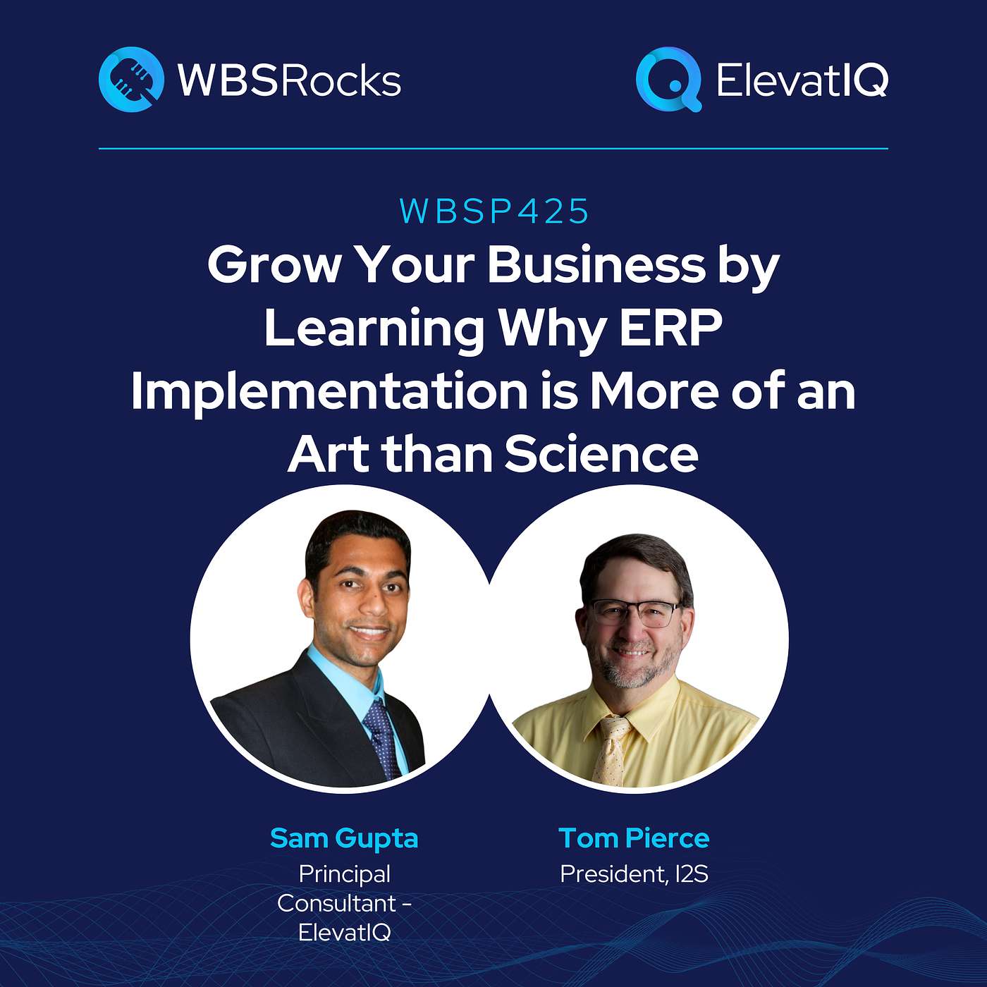 WBSP425: Grow Your Business by Learning Why ERP Implementation is More of an Art than Science w/ Tom Pierce