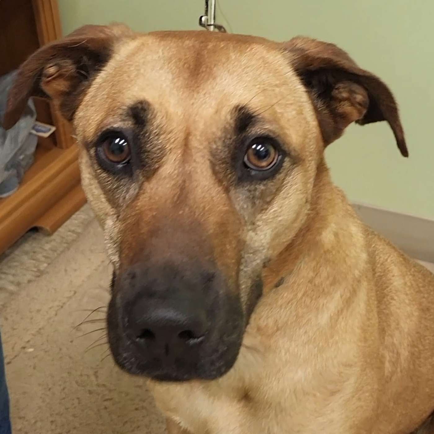 Our POP-PAW-RAZZI from today...just in case ya missed it!